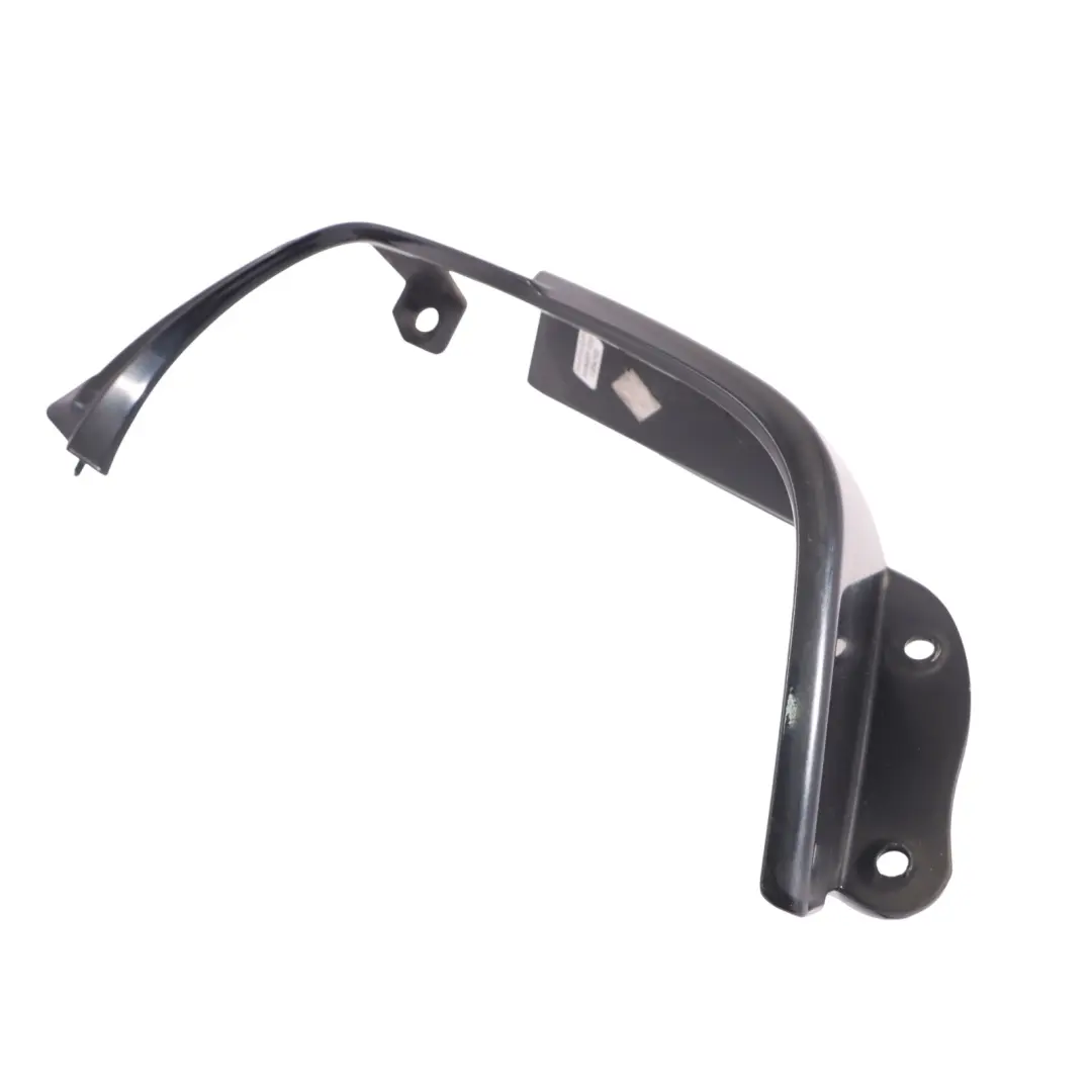 BMW Z4 E85 Rahmenabdeckung Licht Hinten Links Carbon Schwarz - 416 7162125 - SKU 0033347-CAR - Teilenummer 0033347