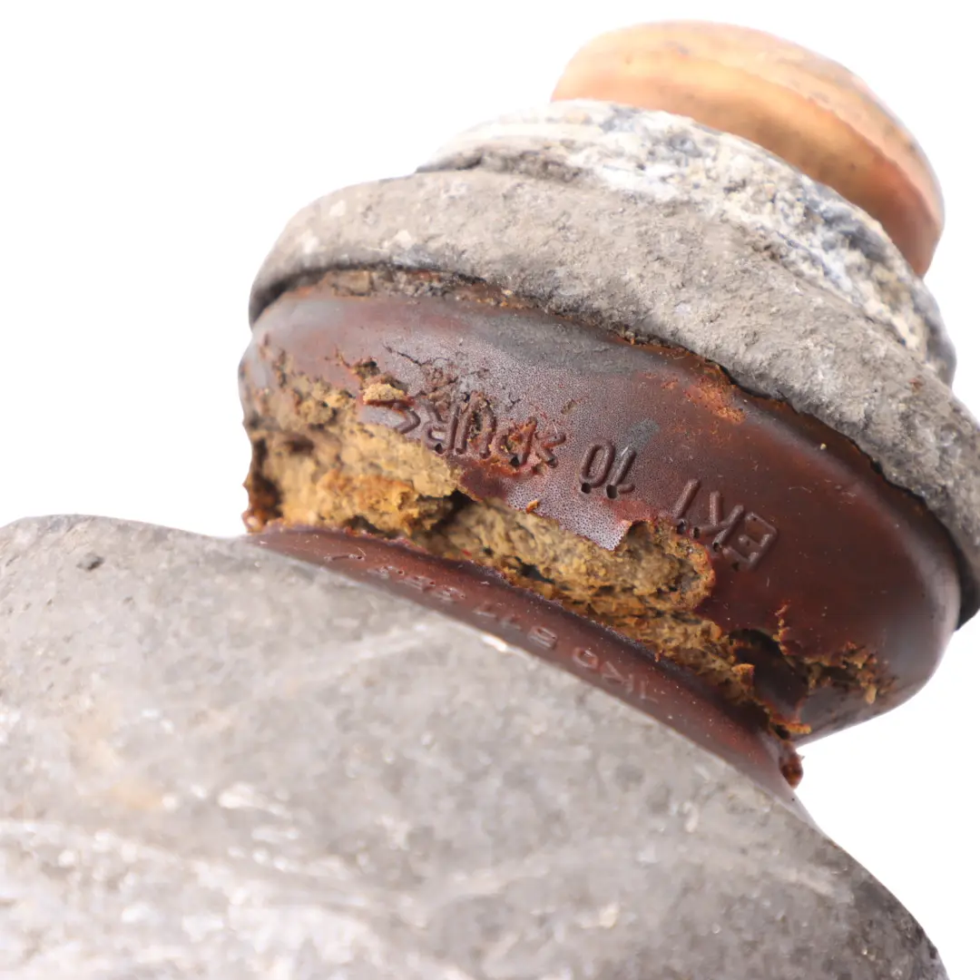 Shock Strut Damper Absorber Left Right N/O/S to Audi A3 8P Rear with Part number 1K0513029HQ Audi A3 8P Rear Shock Strut Damper Absorber Left Right N/O/S - SKU 1K0513029HQ - Part number 1K0513029HQ