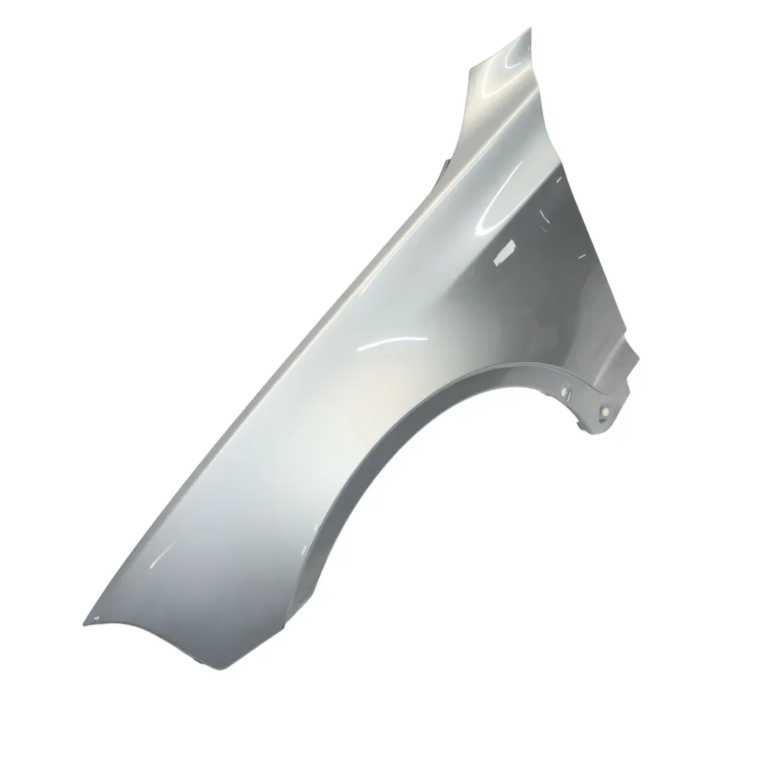 BMW X3 E83 Ala Laterale Anteriore Sinistra Pannello Parafango Silbergrau - A08 - SKU 3405921-SBG - Numero di parte 3405921