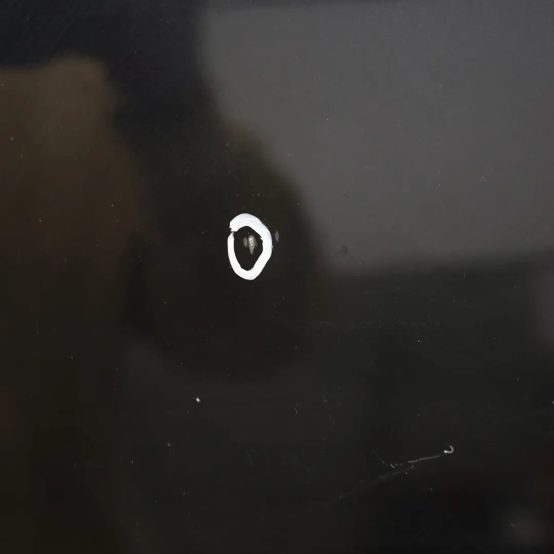 Maska Pokrywa Silnika Phantom Black Czarny Metalik - Z9Y do Audi A6 C7 o numerze 4G0823029A Audi A6 C7 Maska Pokrywa Silnika Phantom Black Czarny Metalik - Z9Y - SKU 4G0823029A-PHB - Numer Części 4G0823029A