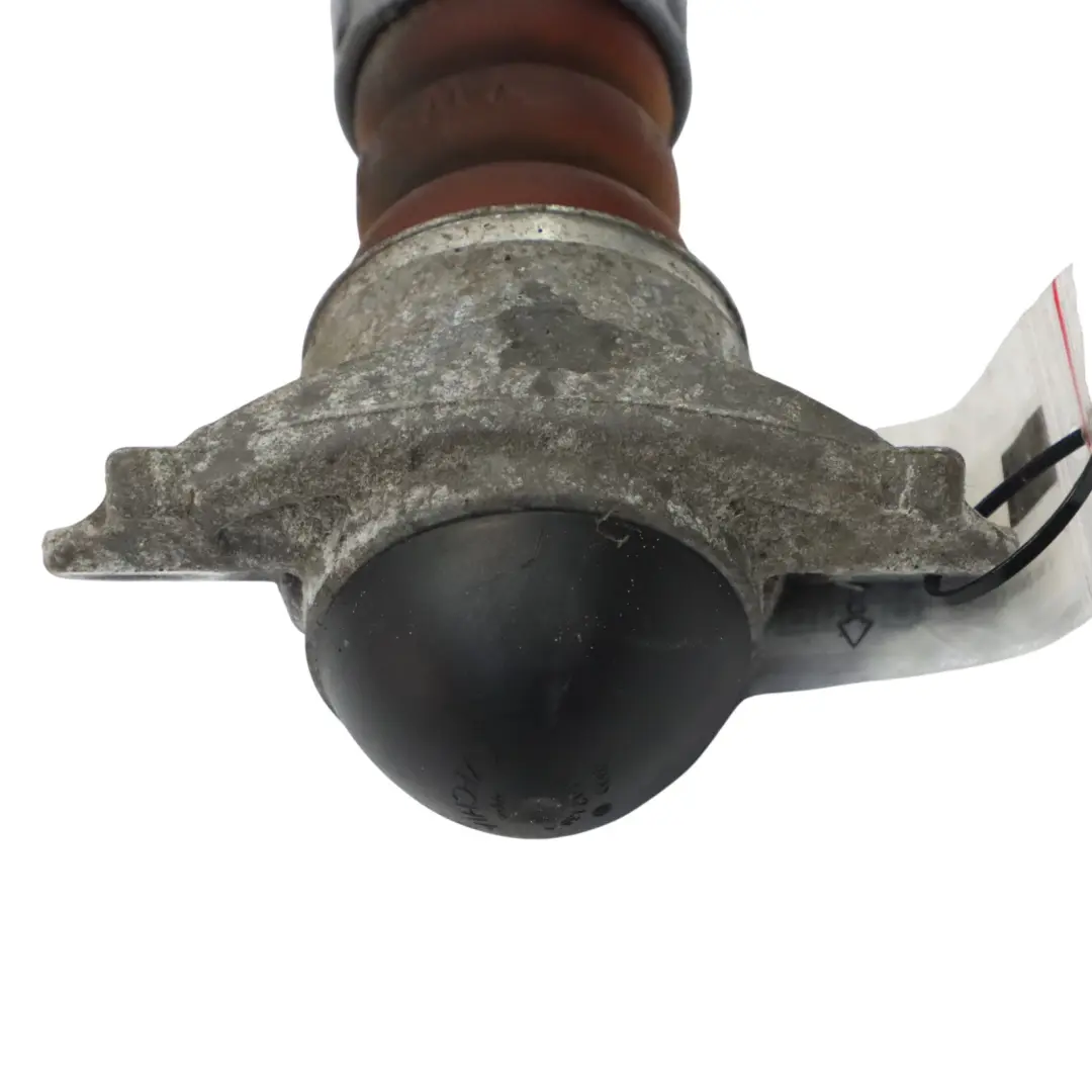 Audi Q2 GA Ammortizzatore Posteriore Sinistro Destro - SKU 5Q0513029LT - Numero di parte 5Q0513029LT