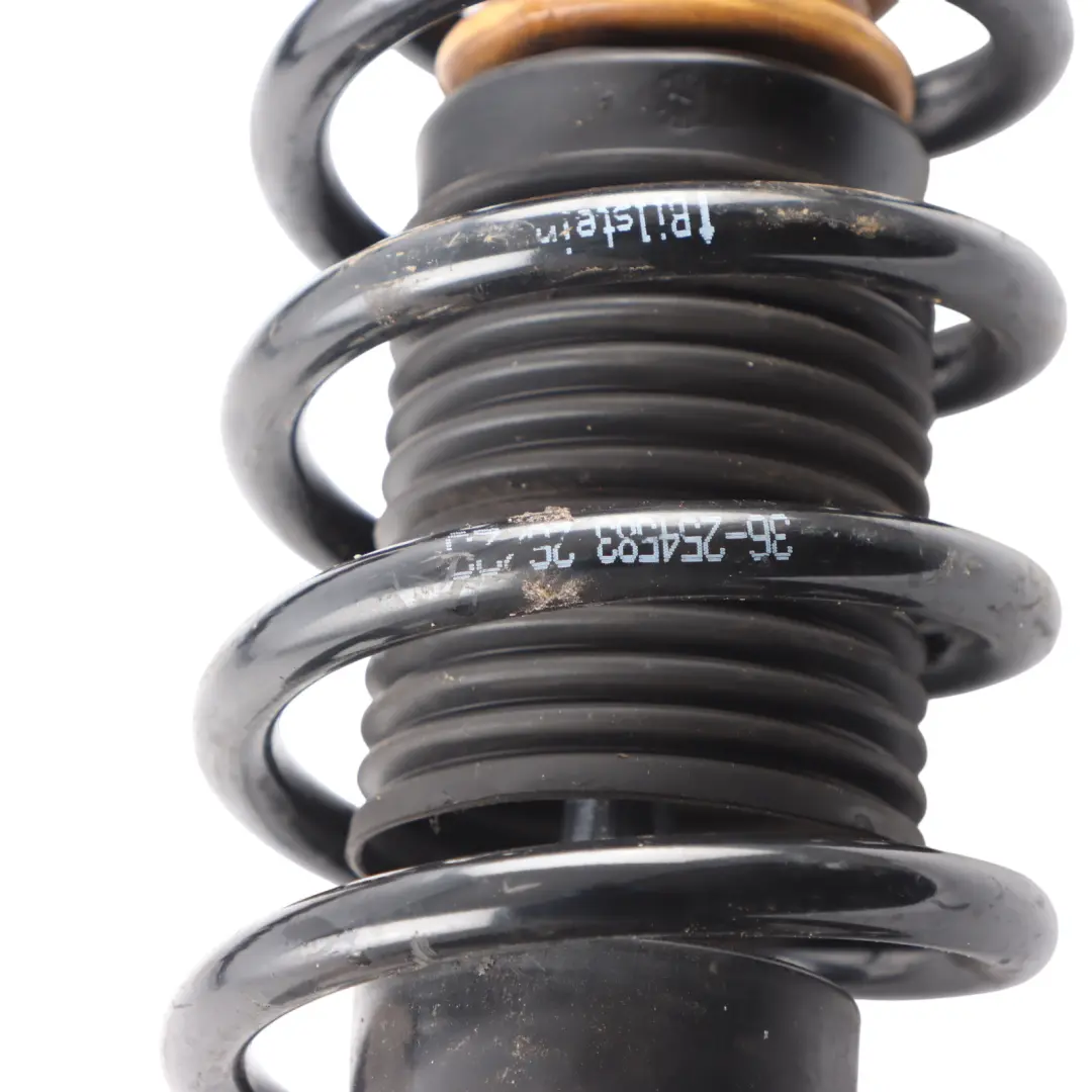 BMW F10 Spring Strut Rear Suspension Left Right N/O/S Shock Absorber Set - SKU 6863902-1 - Part number 6863902