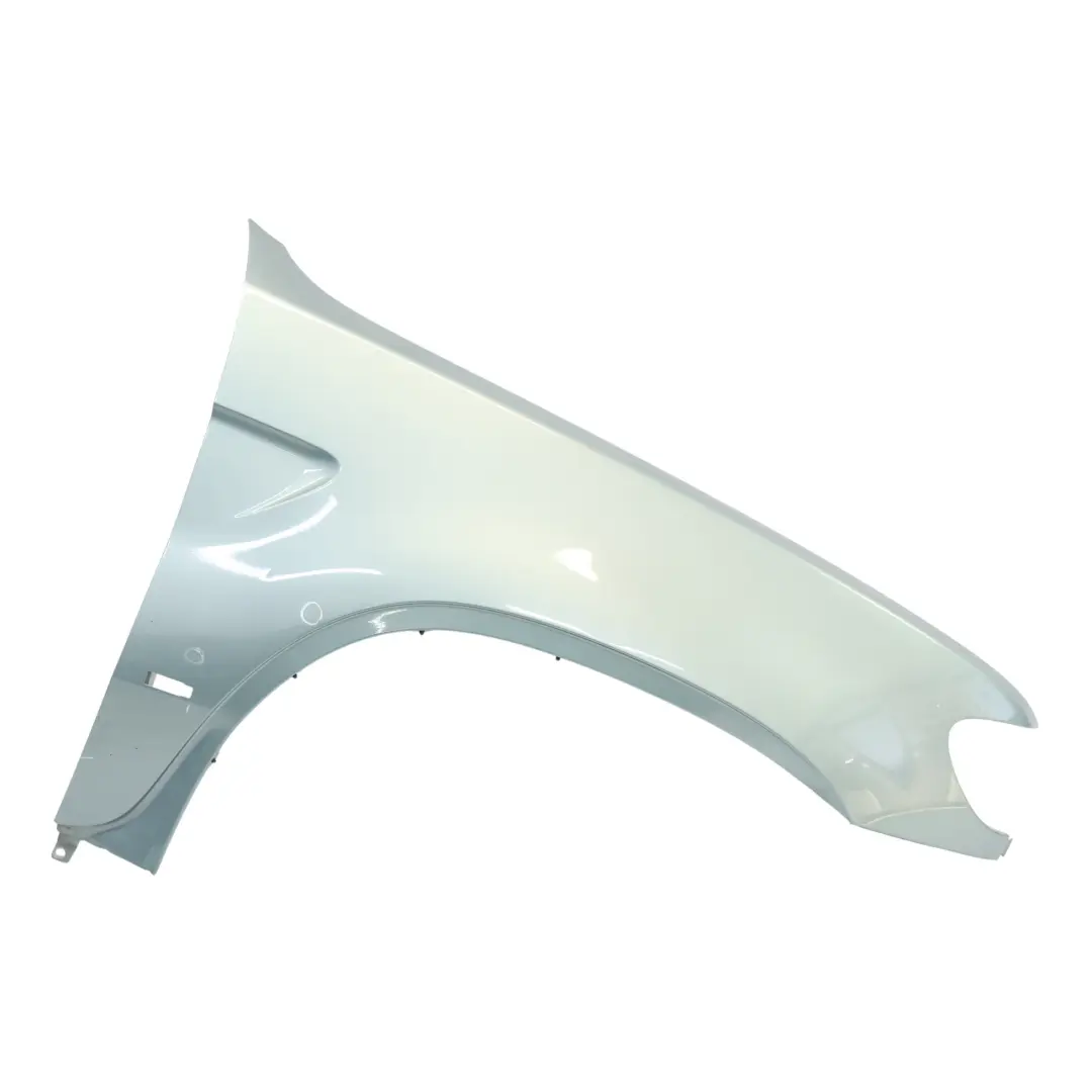 Pannello Laterale Ala Parafango Destro Turchese Grigio Verde - 442 per BMW X5 E53 con numero di parte 7000386 BMW X5 E53 Pannello Laterale Ala Parafango Destro Turchese Grigio Verde - 442 - SKU 7000386-TUG1 - Numero di parte 7000386