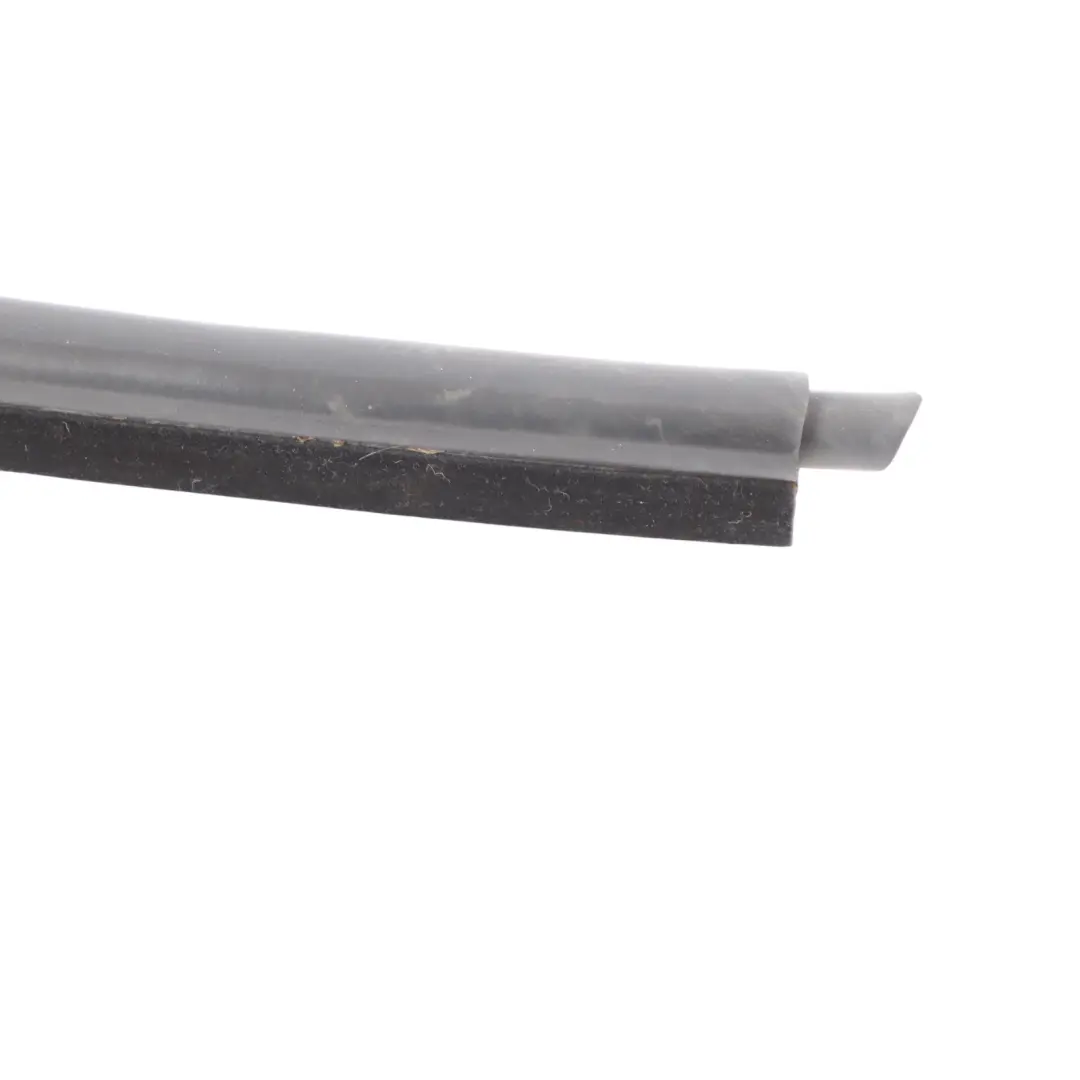 BMW E60 E60N LCI Burlete de Proteccion de la Junta de la Puerta Trasera - SKU 7033795 - Número de pieza 7033795