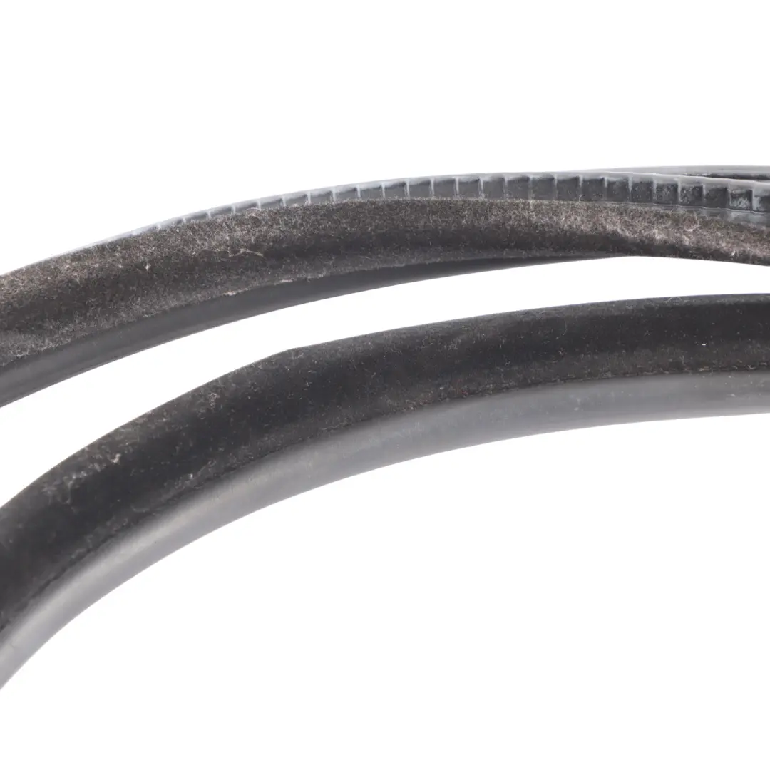 Door Seal Protection Weatherstrip to BMW 5 Series E60 E60N LCI Rear with Part number 7033795 BMW 5 Series E60 E60N LCI Rear Door Seal Protection Weatherstrip - SKU 7033795 - Part number 7033795