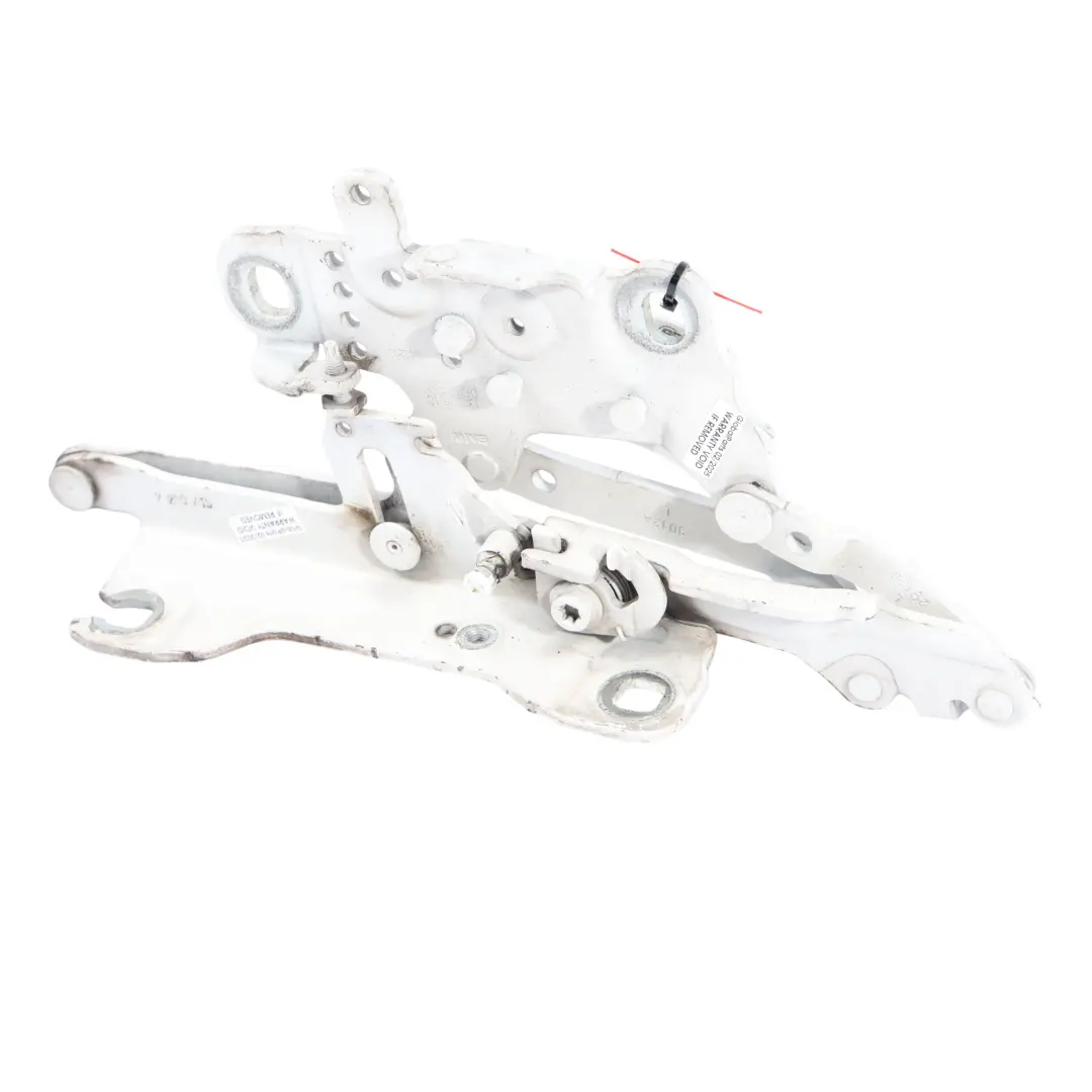 Cerniera Cofano Anteriore Sinistra Alpinweiss 3 Bianco 300 per BMW F20 F22 F30 F31 con numero di parte 7286343 BMW F20 F22 F30 F31 Cerniera Cofano Anteriore Sinistra Alpinweiss 3 Bianco 300 - SKU 7286343-AW1 - Numero di parte 7286343