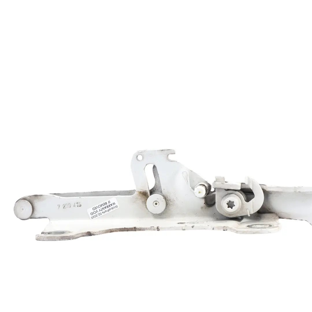 Charnière De Capot Avant Gauche Alpinweiss 3, Blanc 300 BMW F20 F22 F30 F31 - SKU 7286343-AW1 - Numéro de pièce 7286343