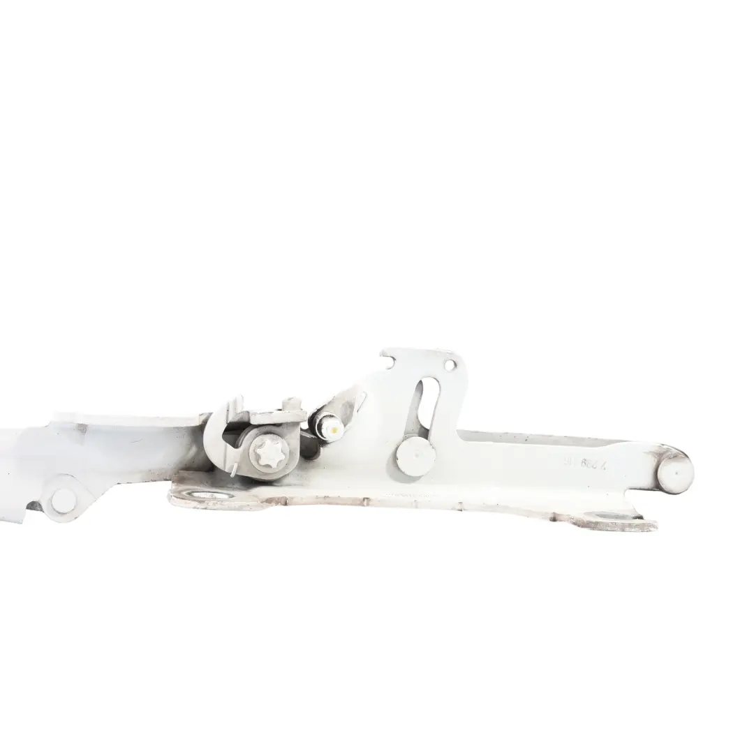 BMW F20 F22 F30 F31 Capó Delantero Bisagra Derecha Alpinweiss 3 Blanco - 300 - SKU 7286344-AW1 - Número de pieza 7286344