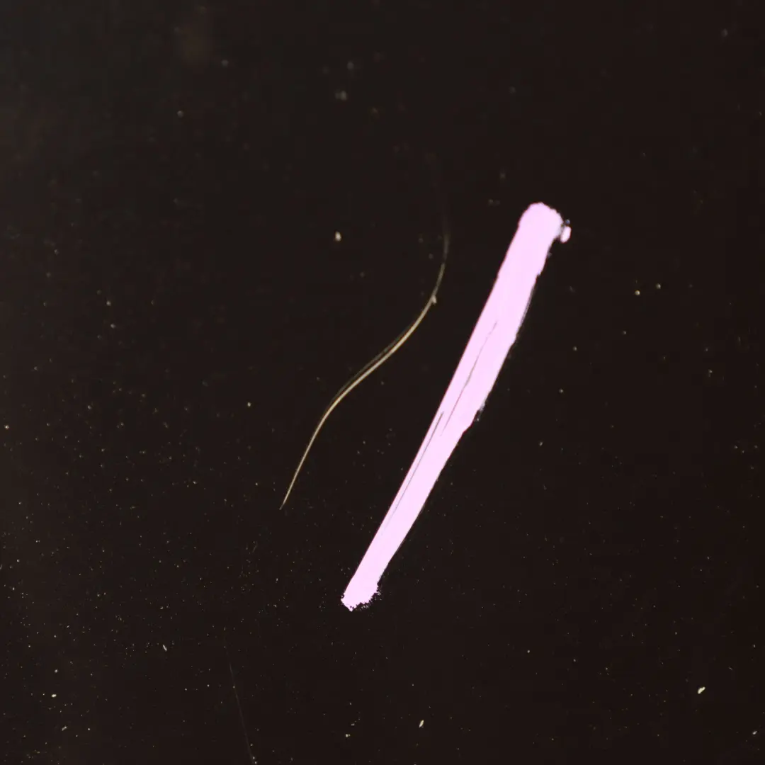 Hood Bonnet Cover Panel Carbonschwarz Black - 416 to BMW F30 F31 F32 F36 with Part number 7290944 BMW F30 F31 F32 F36 Hood Bonnet Cover Panel Carbonschwarz Black - 416 - SKU 7290944-CAR - Part number 7290944