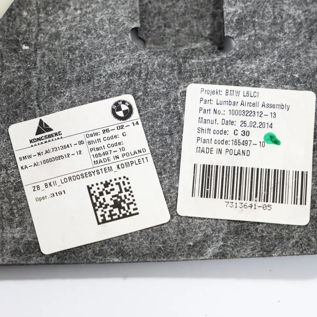 Sistema Lombare Sedile Anteriore Sinistro Destro per BMW F10 F11 F90 con numero di parte 7313641 BMW F10 F11 F90 Sistema Lombare Sedile Anteriore Sinistro Destro - SKU 7313641 - Numero di parte 7313641