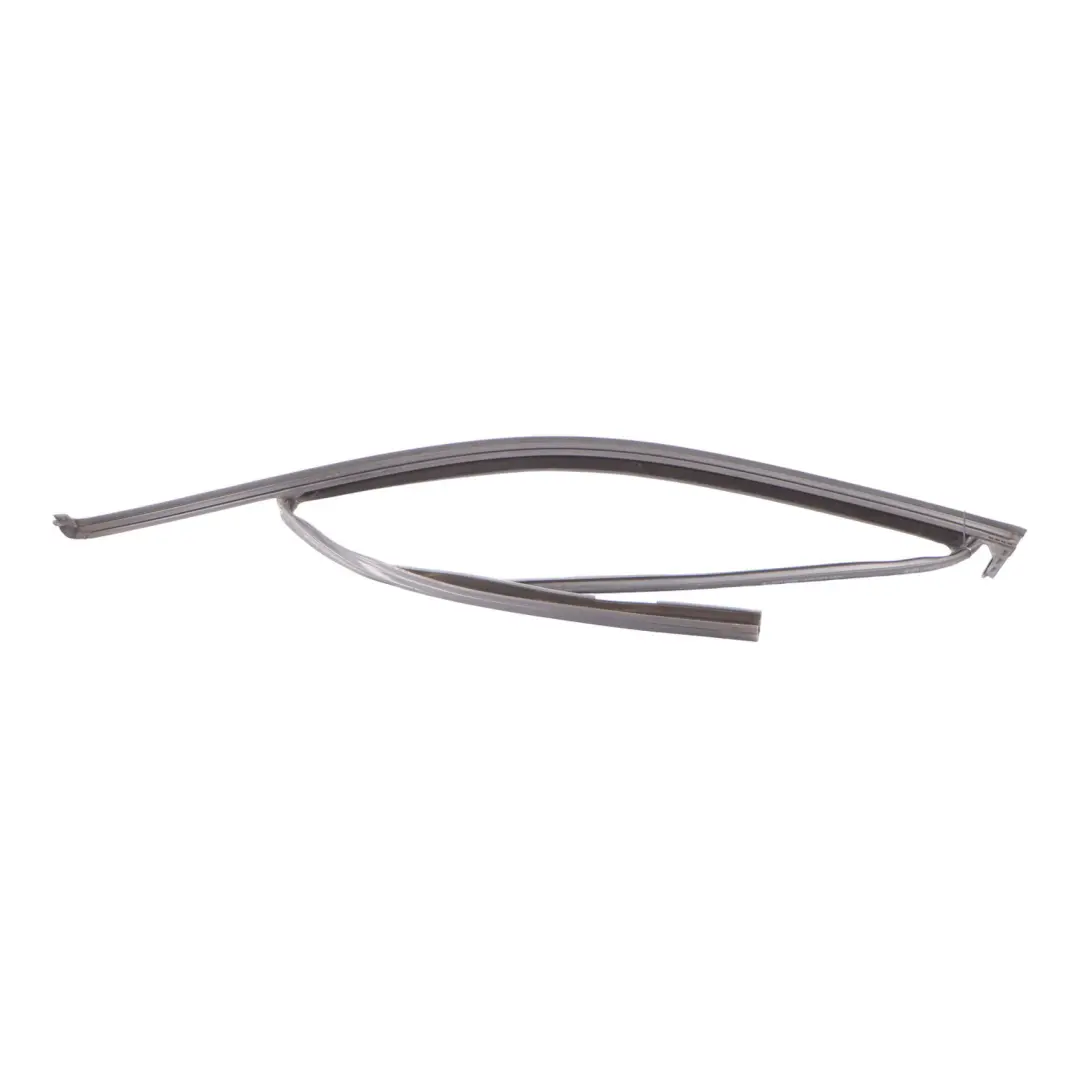 BMW X3 G01 Ventana Sellado Puerta Delantera Izquierda Marco Embellecedor - SKU 7393425 - Número de pieza 7393425