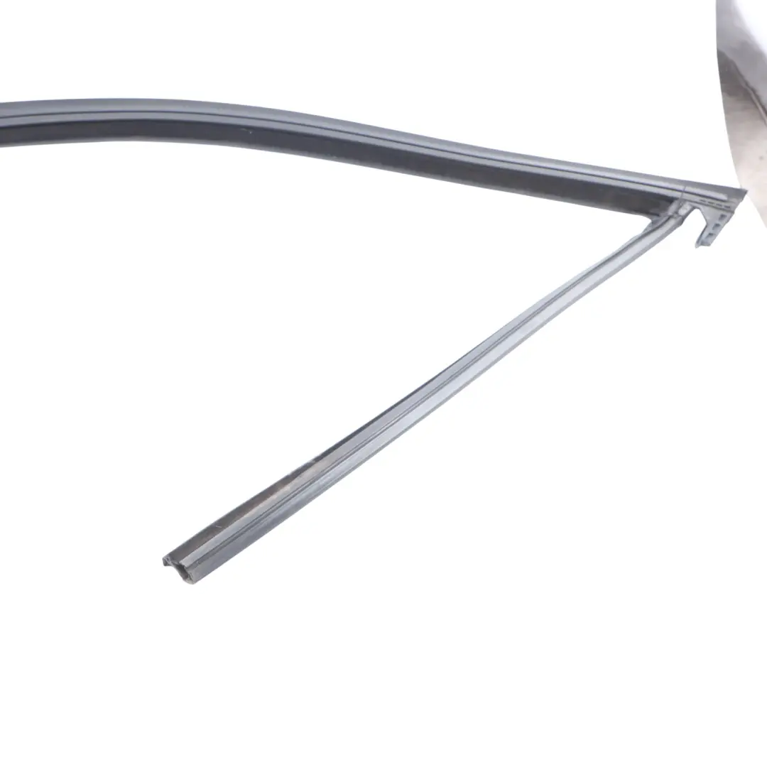 Ventana Sellado Puerta Delantera Izquierda Marco Embellecedor para BMW X3 G01 con número de pieza 7393425 BMW X3 G01 Ventana Sellado Puerta Delantera Izquierda Marco Embellecedor - SKU 7393425 - Número de pieza 7393425