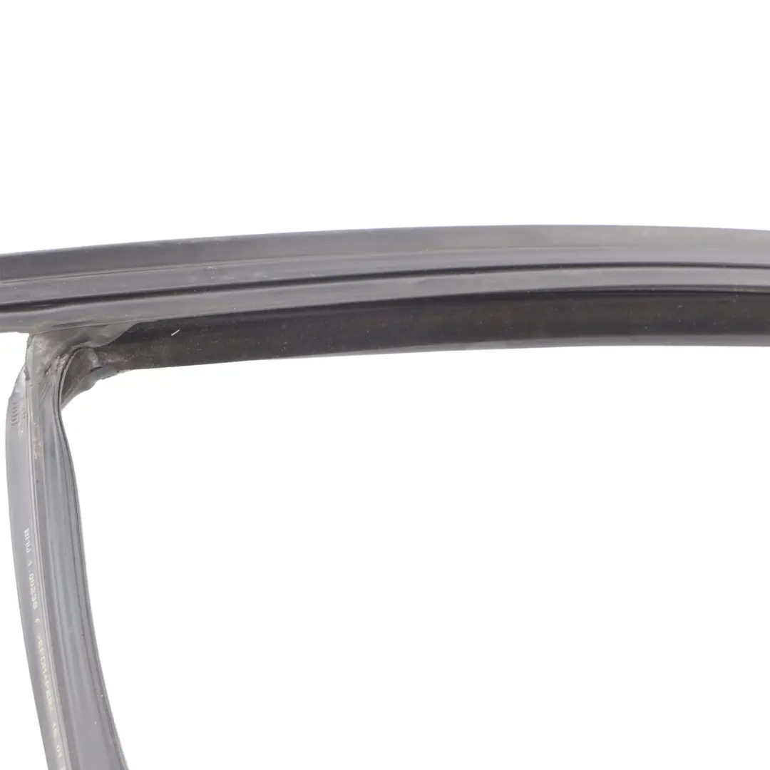 BMW X3 G01 Joint Fenêtre Porte Avant Gauche Cadre Guidage Garniture - SKU 7393425 - Numéro de pièce 7393425