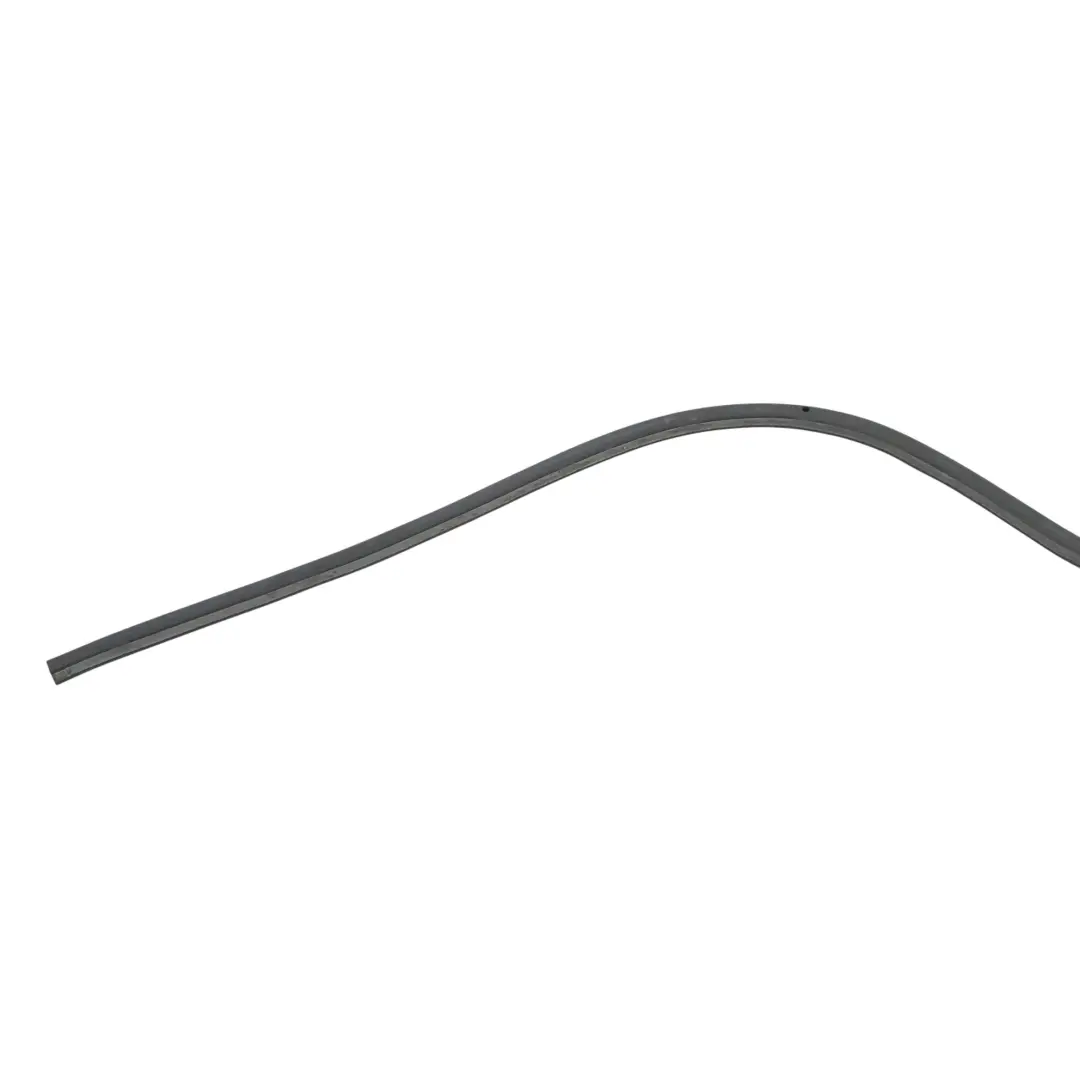 Puerta Sello Borde Protección Trasera Goma Junta Negro para BMW G32 GT con número de pieza 7933179 BMW G32 GT Puerta Sello Borde Protección Trasera Goma Junta Negro - SKU 7933179 - Número de pieza 7933179