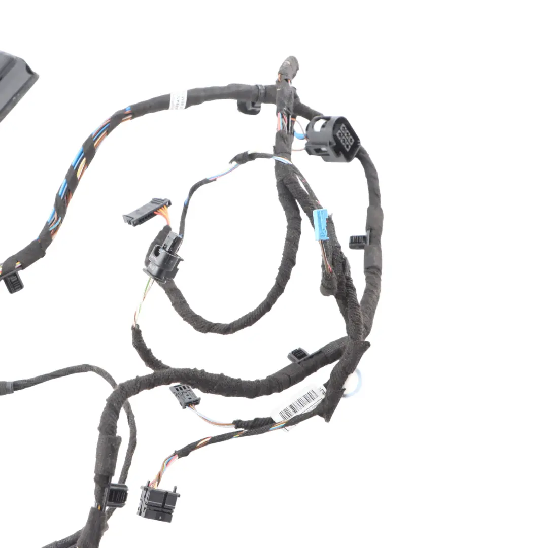 BMW X2 F39 Front Door Wiring Harness Loom - SKU 8795809 - Part number 8795809