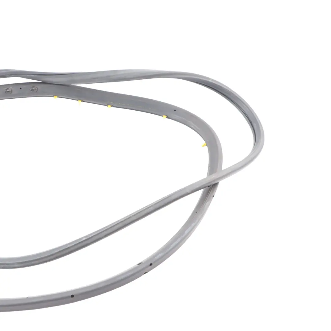 Porta Anteriore Esterna Guarnizione Telaio Gomma Sinistra per Audi S4 B7 con numero di parte 8E0837911M Audi S4 B7 Porta Anteriore Esterna Guarnizione Telaio Gomma Sinistra - SKU 8E0837911M - Numero di parte 8E0837911M