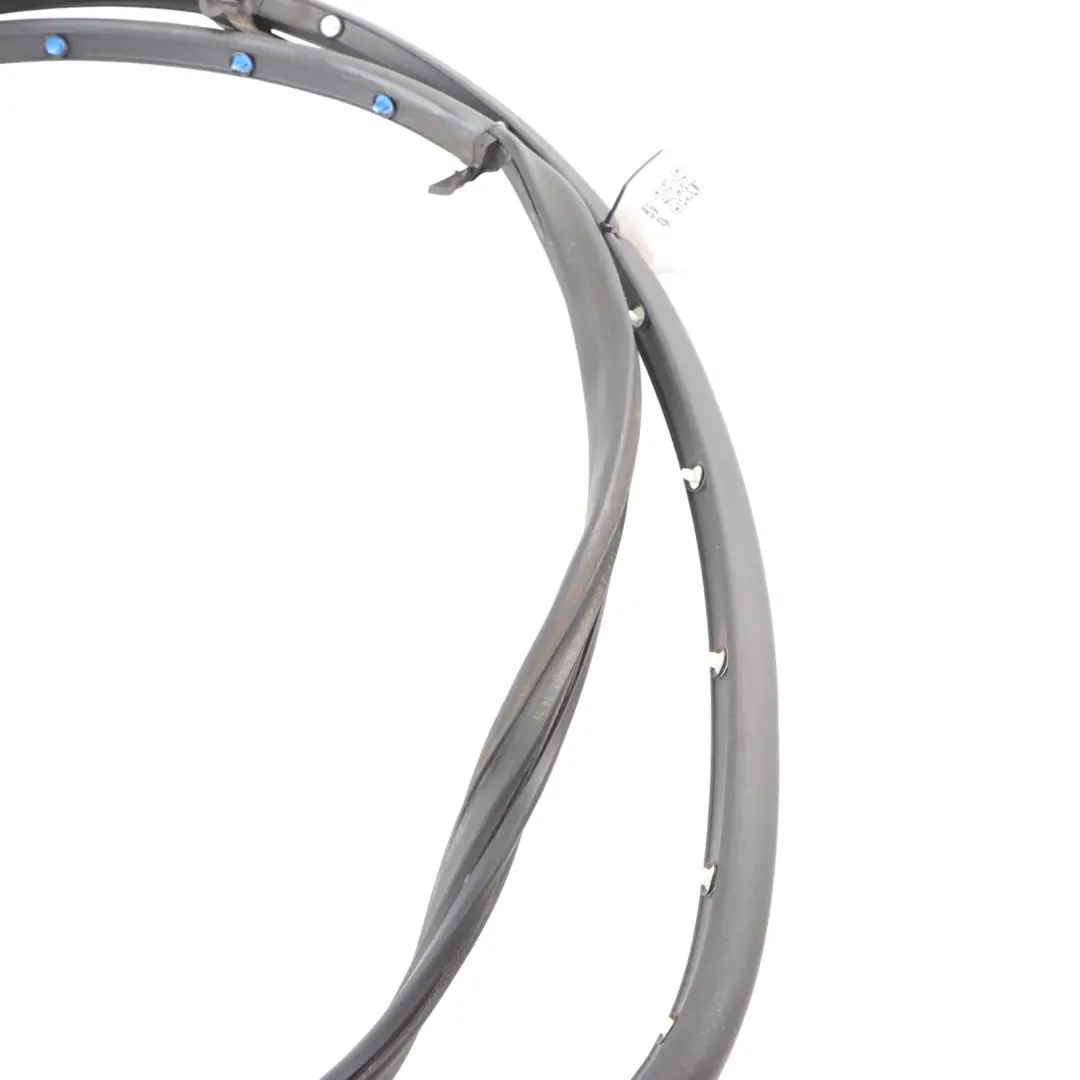 Porta Posteriore Esterna Guarnizione Telaio Gomma Sinistra per Audi S4 B7 con numero di parte 8E0839911N Audi S4 B7 Porta Posteriore Esterna Guarnizione Telaio Gomma Sinistra - SKU 8E0839911N - Numero di parte 8E0839911N