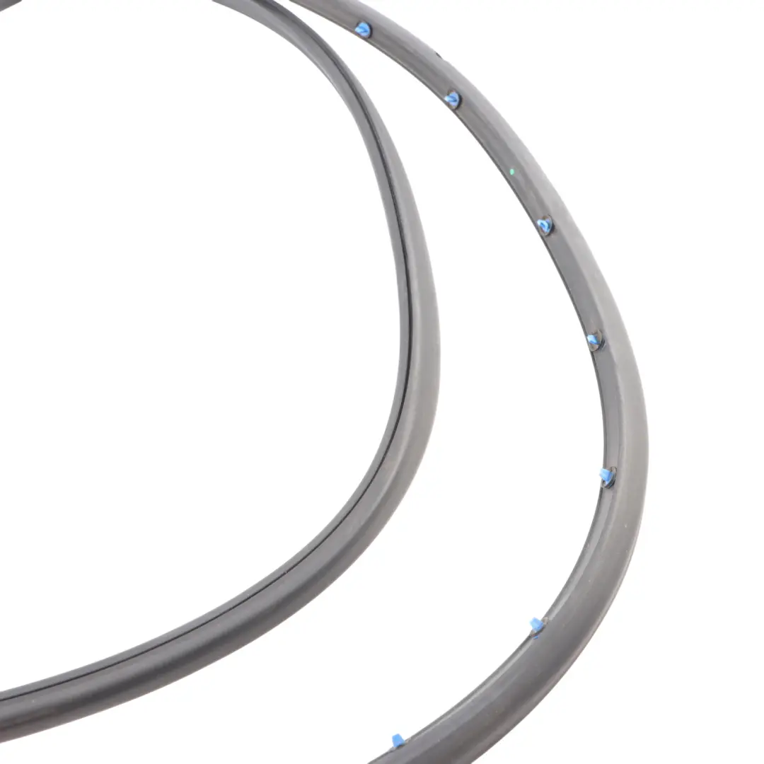 Audi S4 B7 Joint Extérieur Cadre Porte Arrière Gauche Caoutchouc - SKU 8E0839911N - Numéro de pièce 8E0839911N