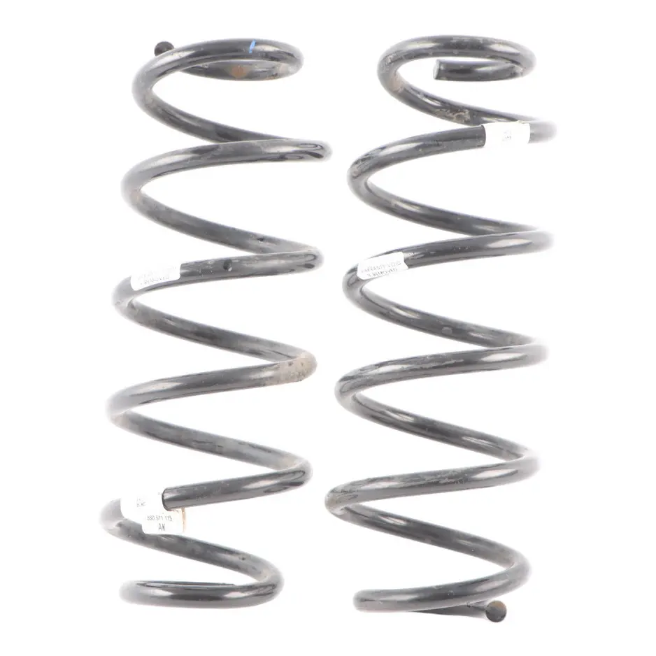 Audi TT FV Rear Axle Suspension Coil Spring Set Kit 8S0511115AK