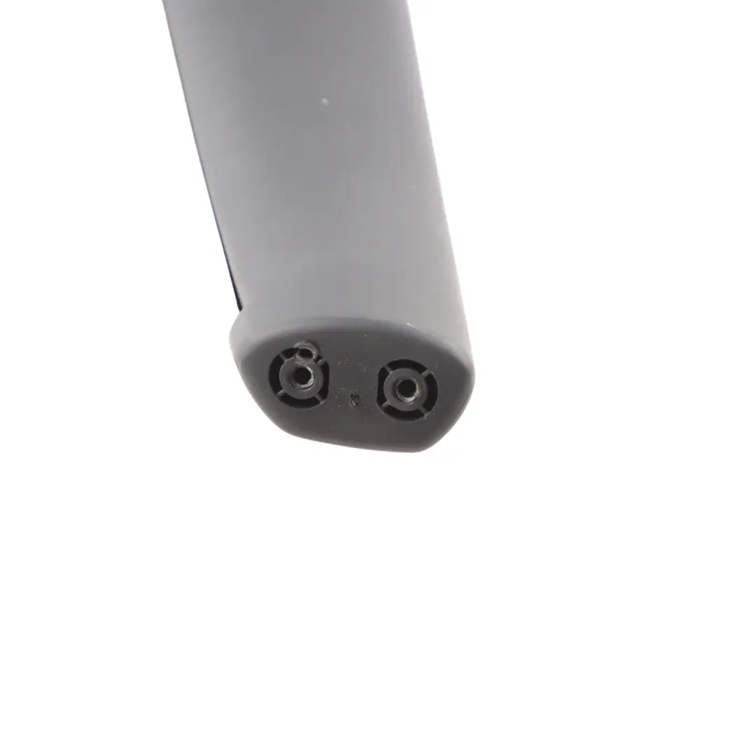 Audi TT FV Poignée Carte Porte Avant Tirage Intérieur Garniture Gauche - SKU 8S0867161 - Numéro de pièce 8S0867161