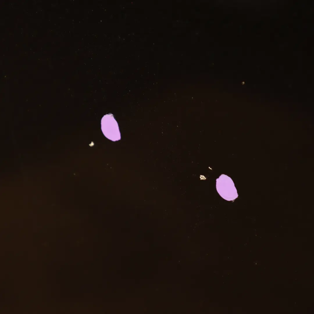 Audi A5 8T Front Hood Bonnet Panel Cover Phantom Black Metallic - Z9Y - SKU 8T0823029D-PHB - Part number 8T0823029D