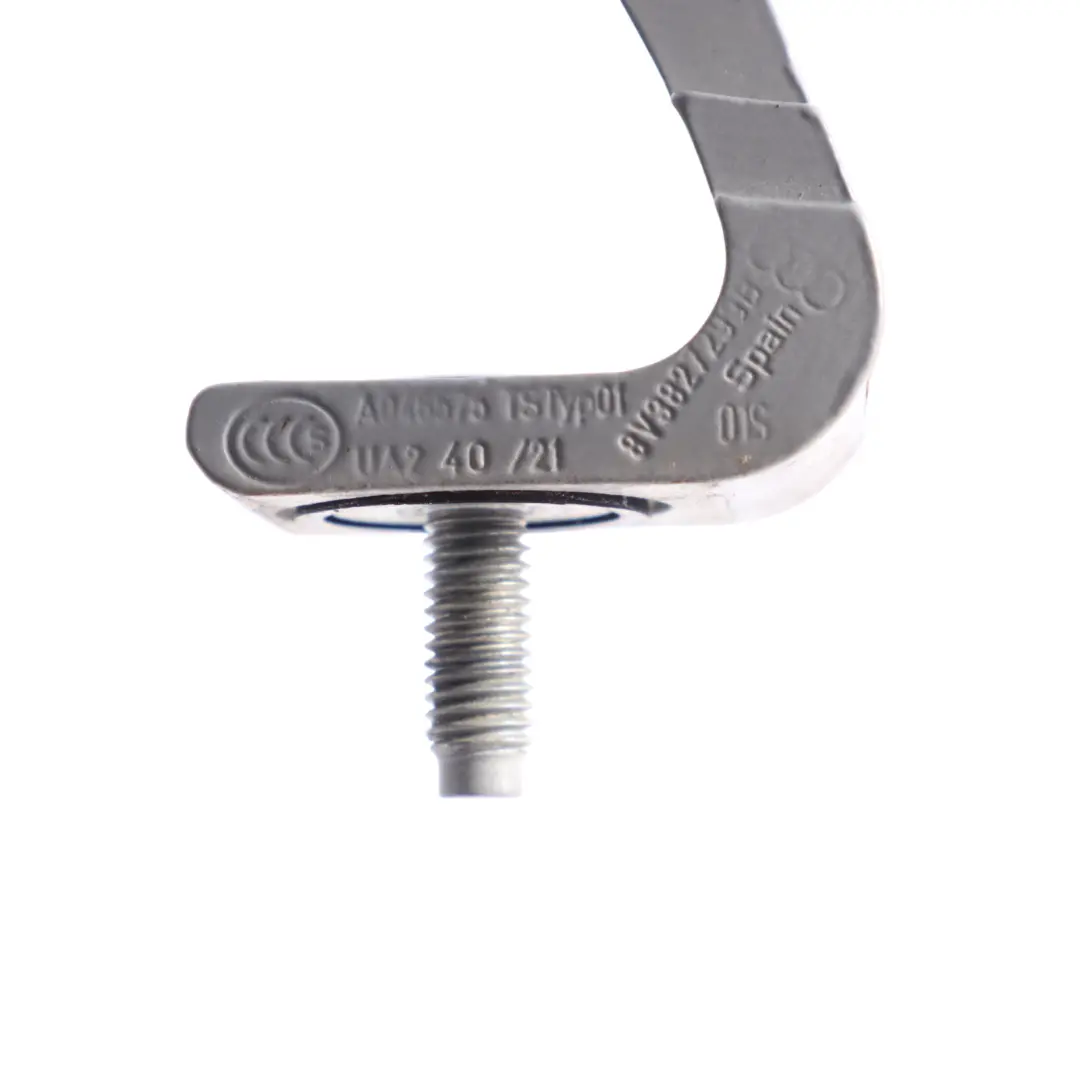 RSQ3 F3 Bisagra Portón Trasero Tapa Maletero Izquierda Nardo Gris - Y7C para Audi Q3 con número de pieza 8V3827299B Audi Q3 RSQ3 F3 Bisagra Portón Trasero Tapa Maletero Izquierda Nardo Gris - Y7C - SKU 8V3827299B-NAG - Número de pieza 8V3827299B