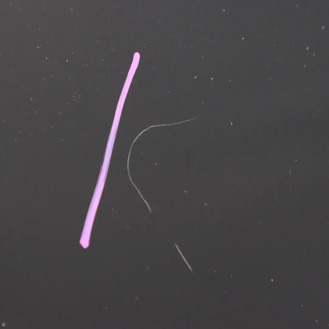 Spoiler Boot Lid Tailgate Trim Panel Cover Mythical Black - Y9T to Audi RS3 8V Rear with Part number 8V4827933D Audi RS3 8V Rear Spoiler Boot Lid Tailgate Trim Panel Cover Mythical Black - Y9T - SKU 8V4827933D - Part number 8V4827933D