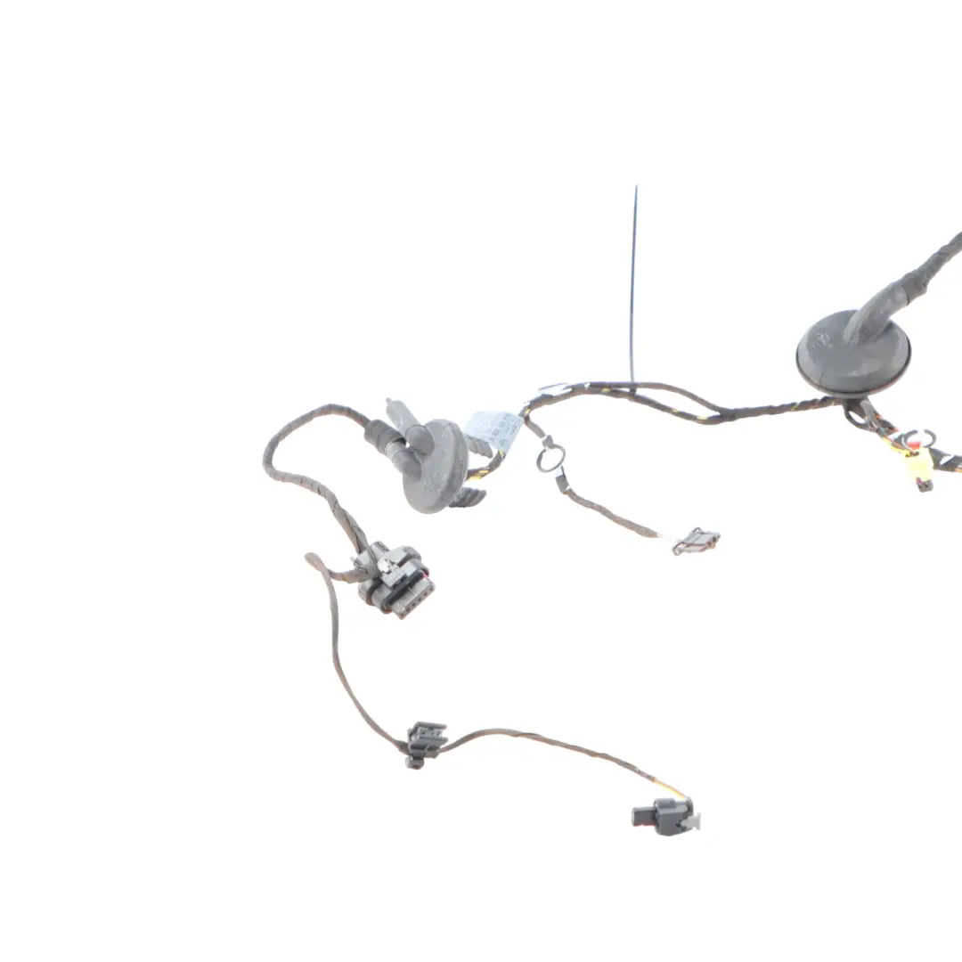 Audi RS3 8V Front Passenger Door Wiring Harness Loom Cable Left N/S - SKU 8V4971030AE - Part number 8V4971030AE