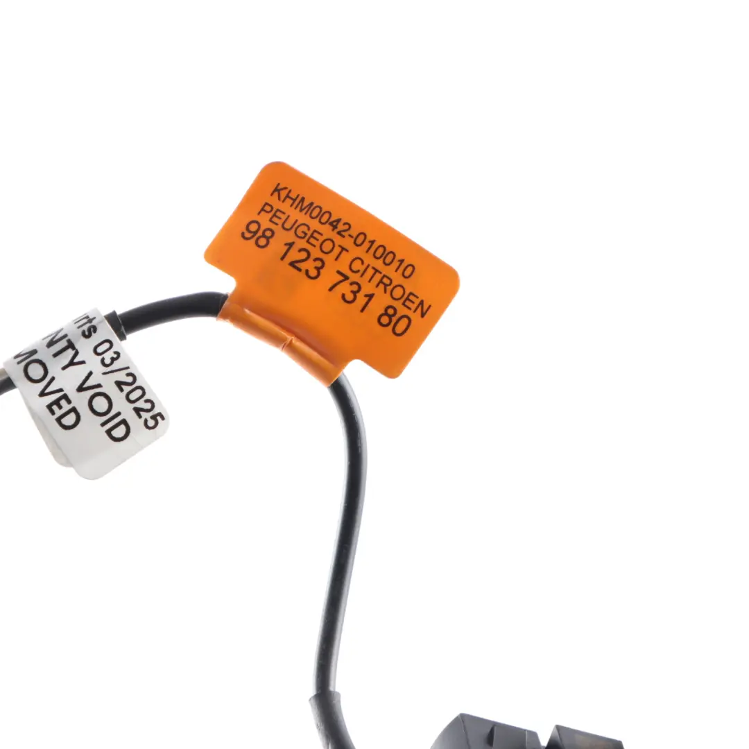  Citroen C3 C4 Microphone Hands Free System Interior Mic Unit - SKU 9812373180 - Part number 9812373180