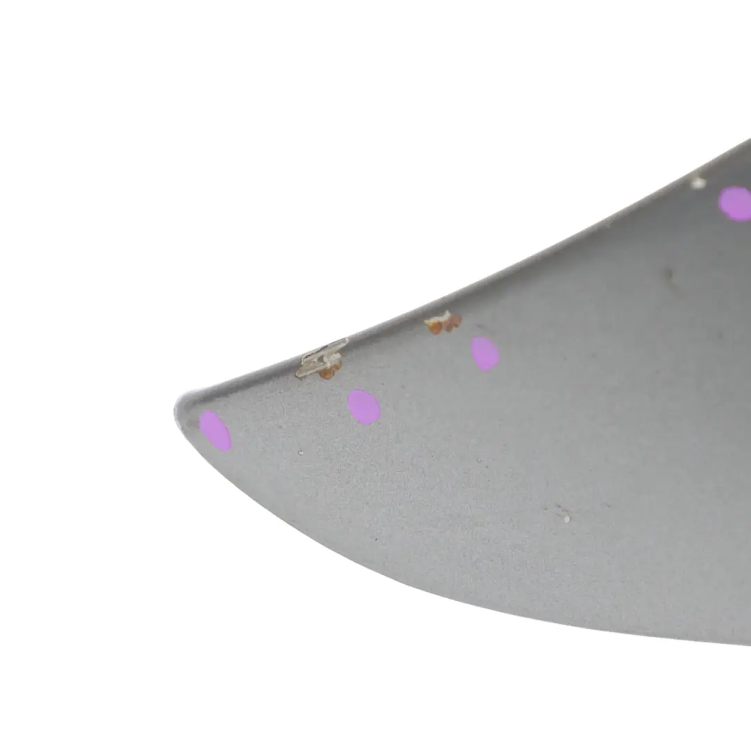 Wing Fender Panel Front Left N/S Side Trim Tellurium Silver - 762 to Mercedes R171 with Part number A1718800306 Mercedes R171 Wing Fender Panel Front Left N/S Side Trim Tellurium Silver - 762 - SKU A1718800306-PAL - Part number A1718800306