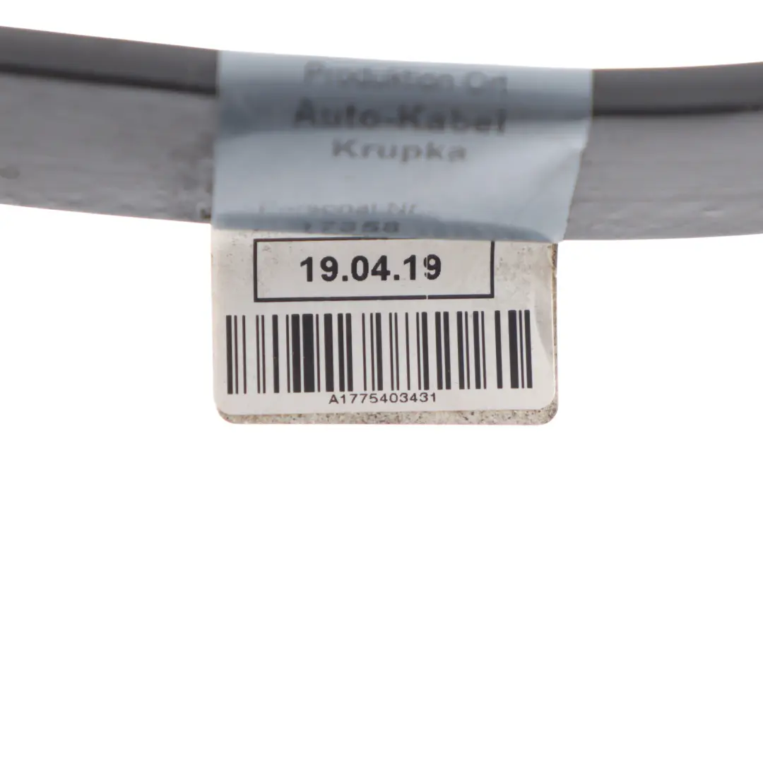 Cable Mercedes W177 W247 Negative Lead Wiring Harness to Battery with Part number A1775403431 Battery Cable Mercedes W177 W247 Negative Lead Wiring Harness - SKU A1775403431 - Part number A1775403431