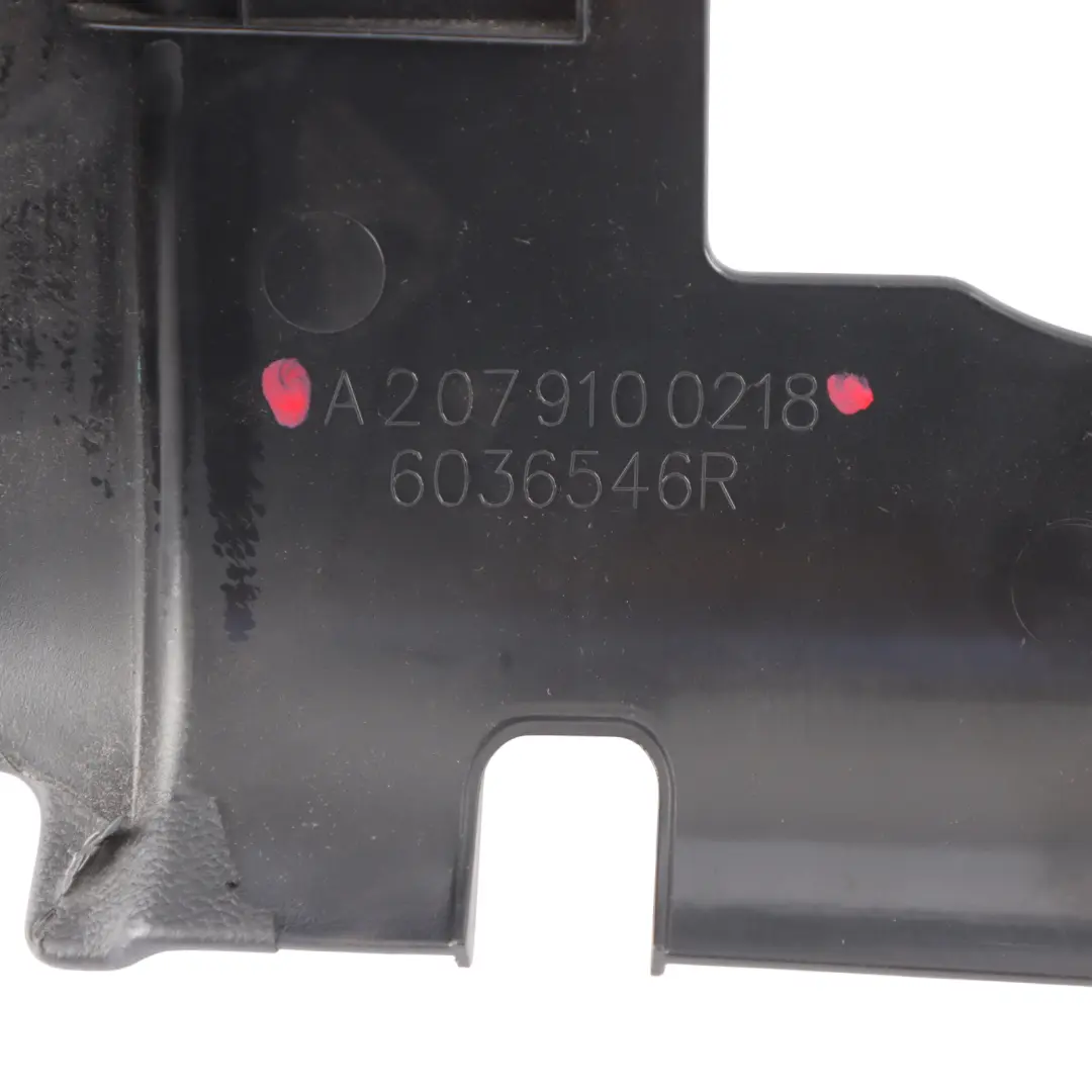  Respaldo asiento Mercedes W204 W207 Coupe Recubrimiento Derecho - SKU A2079100218-1 - Número de pieza A2079100218