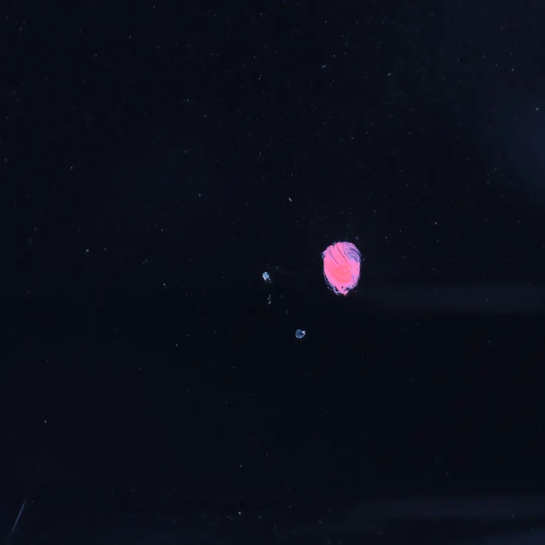 Mercedes Vito W639 Sliding Door Rear Right O/S Side Door Obsidian Black - 197 - SKU A6397303005-OB - Part number A6397303005