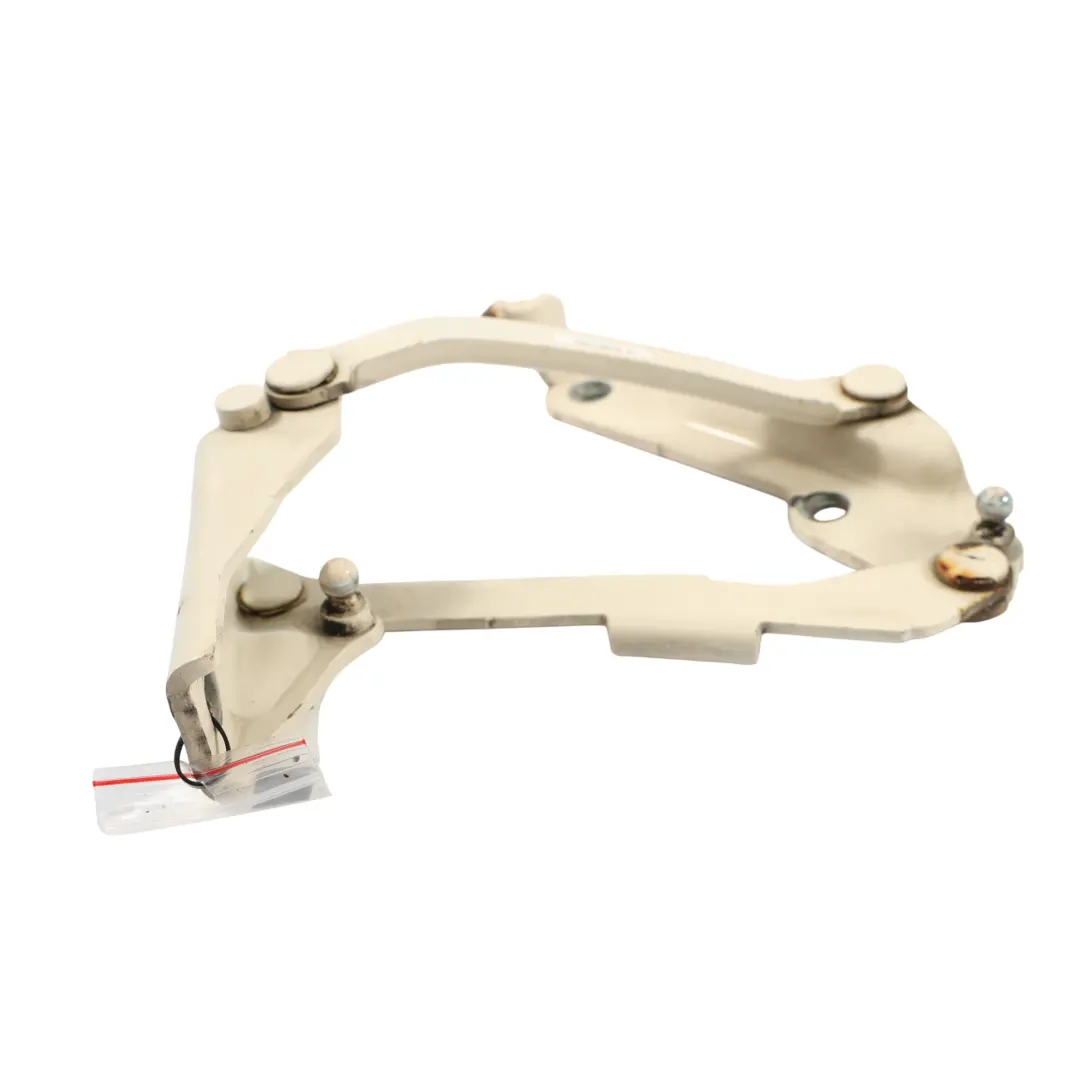 VW New Beetle Bisagra Capó Trasera Derecha Harvest Moon Beige - B1M 1Y0827302F - SKU 1Y0827302F-HMB - Número de pieza 1C0823301H