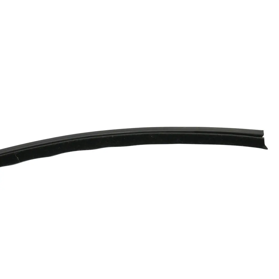 Volkswagen New Beetle Cabrio Tür Fenster Blende Dichtung Links - SKU 1Y0837477C - Teilenummer 1Y0837477C