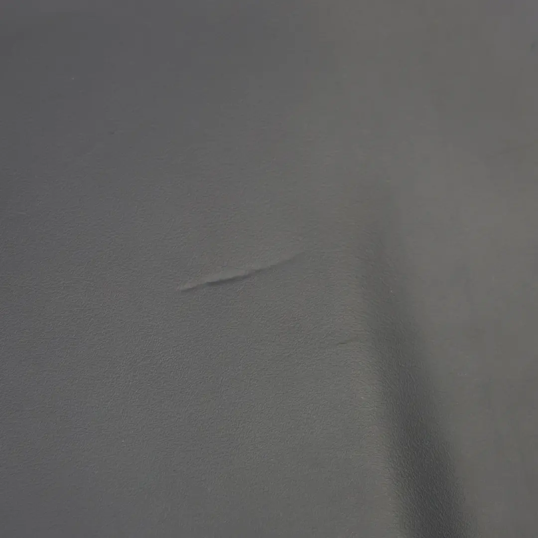 Asiento Delantero Respaldo Trasero Izquierdo Derecho para Audi A8 4H con número de pieza 4H0881969A Audi A8 4H Asiento Delantero Respaldo Trasero Izquierdo Derecho - SKU 4H0881969A - Número de pieza 4H0881969A