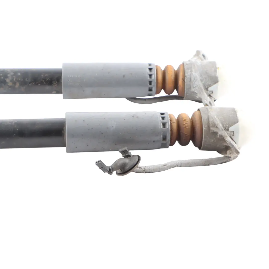 Axle Shock Absorber Strut Left Right N/O/S SET to Audi S1 8X Rear with Part number 6C0512009K Audi S1 8X Rear Axle Shock Absorber Strut Left Right N/O/S SET - SKU 6C0512009K - Part number 6C0512009K