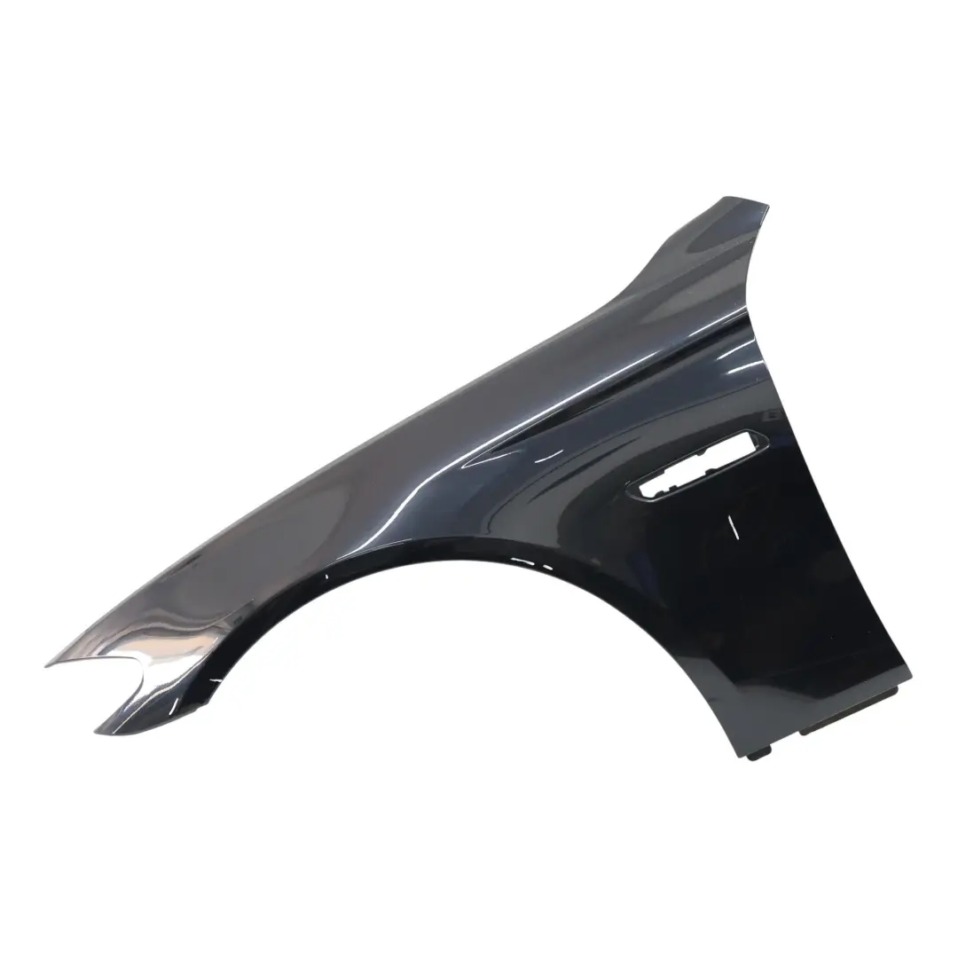  Side Panel BMW F10 F11 Front Left N/S Wing Fender Panel Carbon Black - 416 - SKU 7248659-CAR1 - Part number 7248659