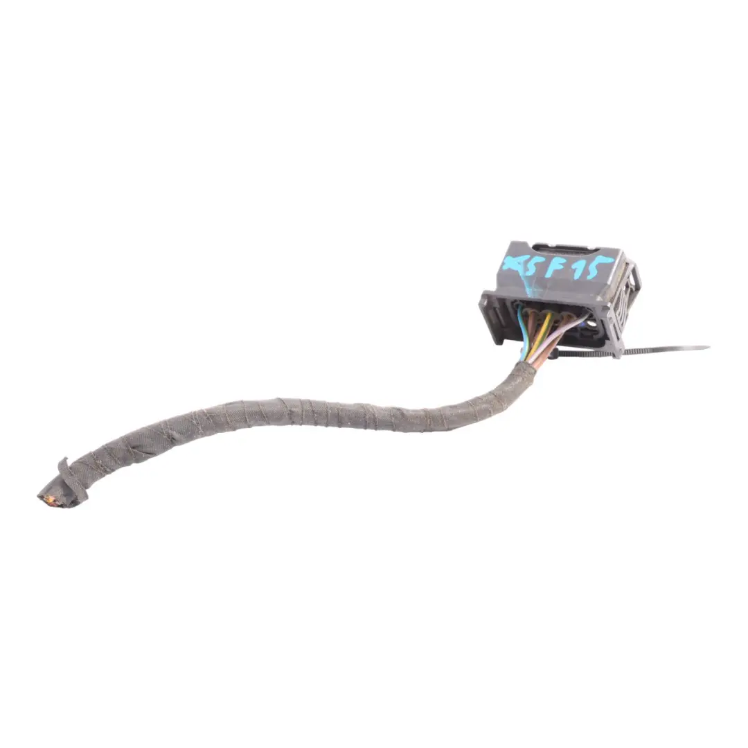 Conector Faros BMW X5 F15 X6 F16 Arnés Cableado Delanteros Bi-Xenón Izquierdo para con número de pieza 7290055 Conector Faros BMW X5 F15 X6 F16 Arnés Cableado Delanteros Bi-Xenón Izquierdo - SKU 7317103-2 - Número de pieza 7290055