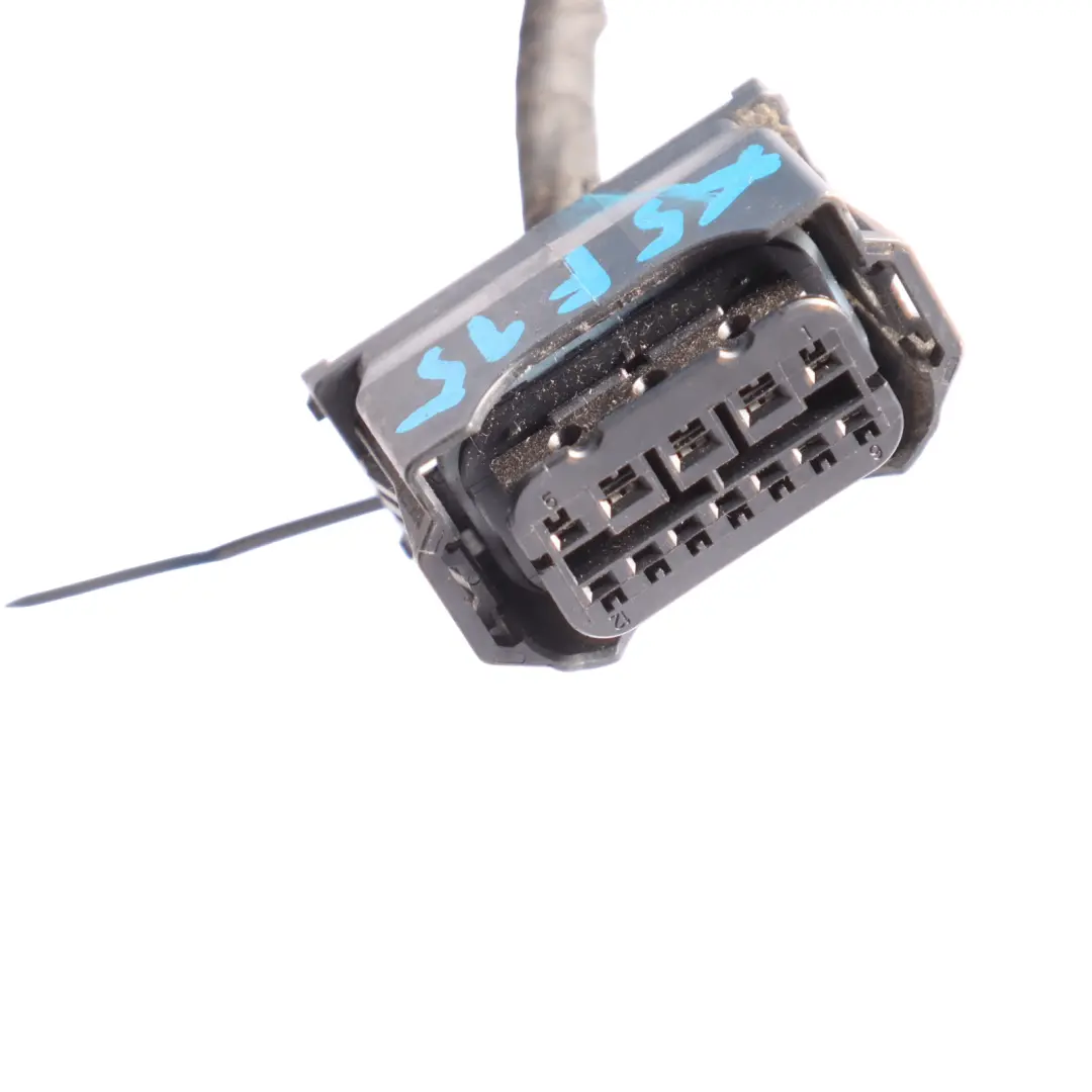 Faisceau De Câbles Bi-Xénon Phare Avant Gauche pour BMW X5 F15 X6 F16 à propos du numéro de pièce 7290055 BMW X5 F15 X6 F16 Faisceau De Câbles Bi-Xénon Phare Avant Gauche - SKU 7317103-2 - Numéro de pièce 7290055