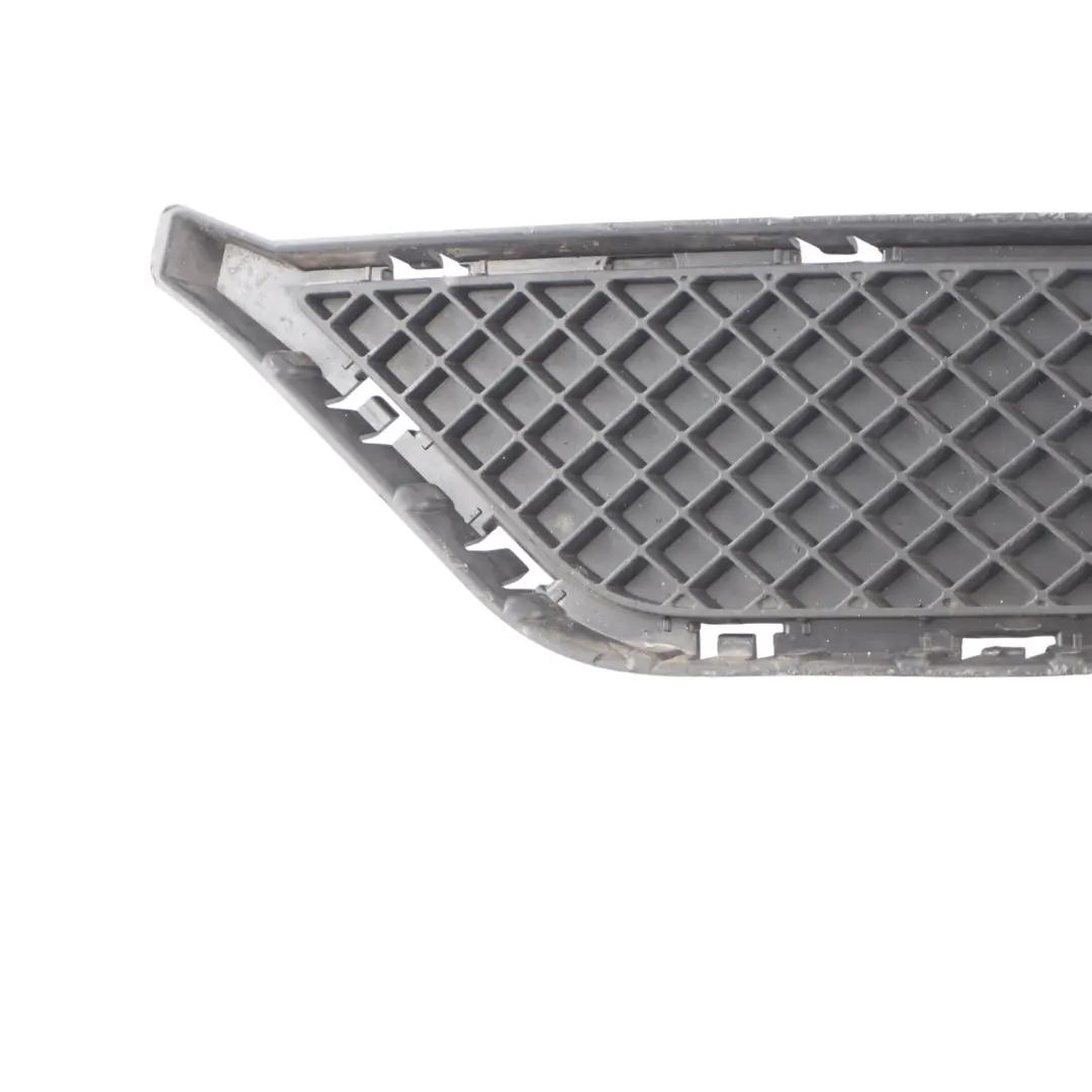 BMW X1 E84 Front Bumper Partially Grid Grille Left N/S - SKU 7303755 - Part number 7303755