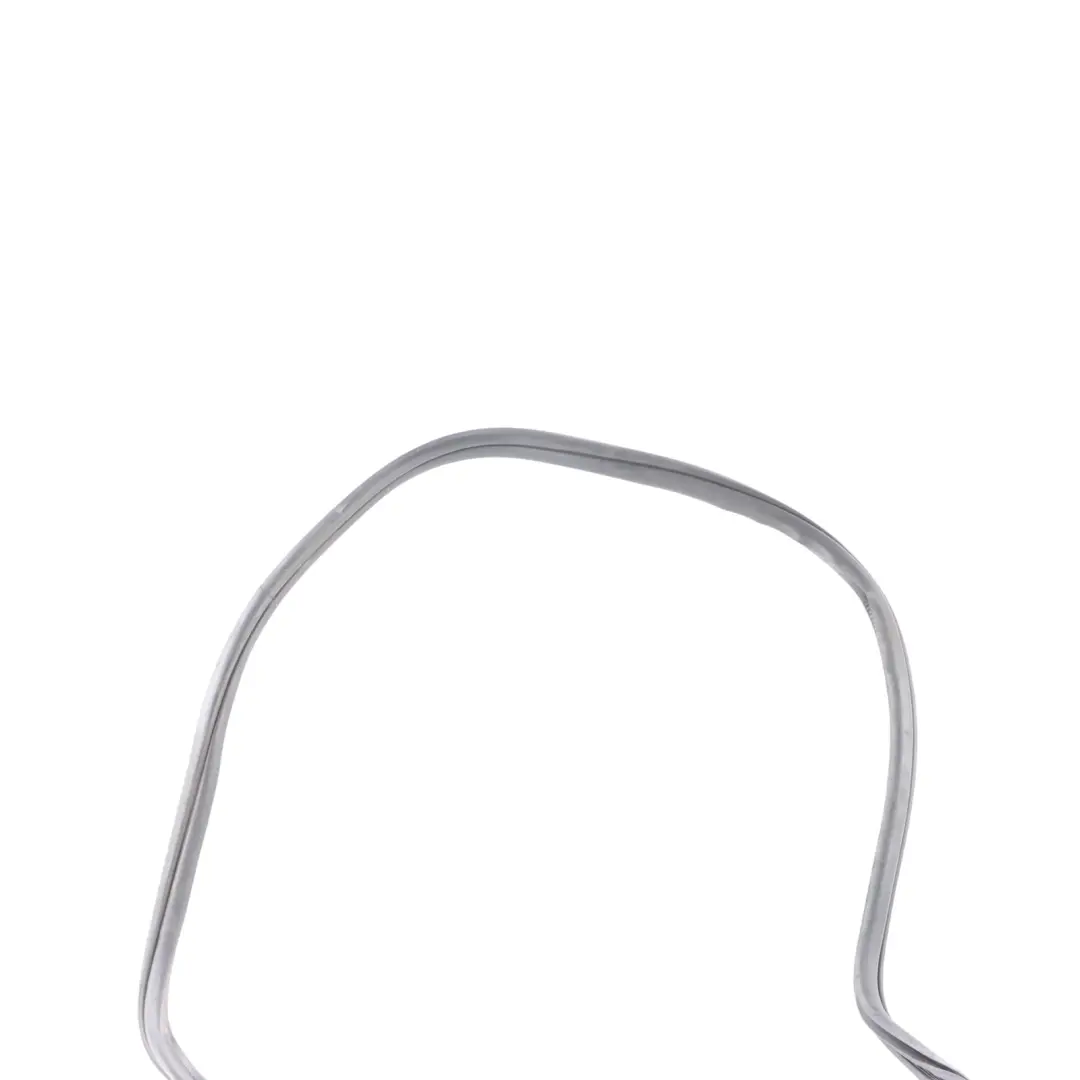 BMW F31 Guarnizione Protezione Portiera Posteriore Gomma Sinistra Destra - SKU 7303969 - Numero di parte 7303969