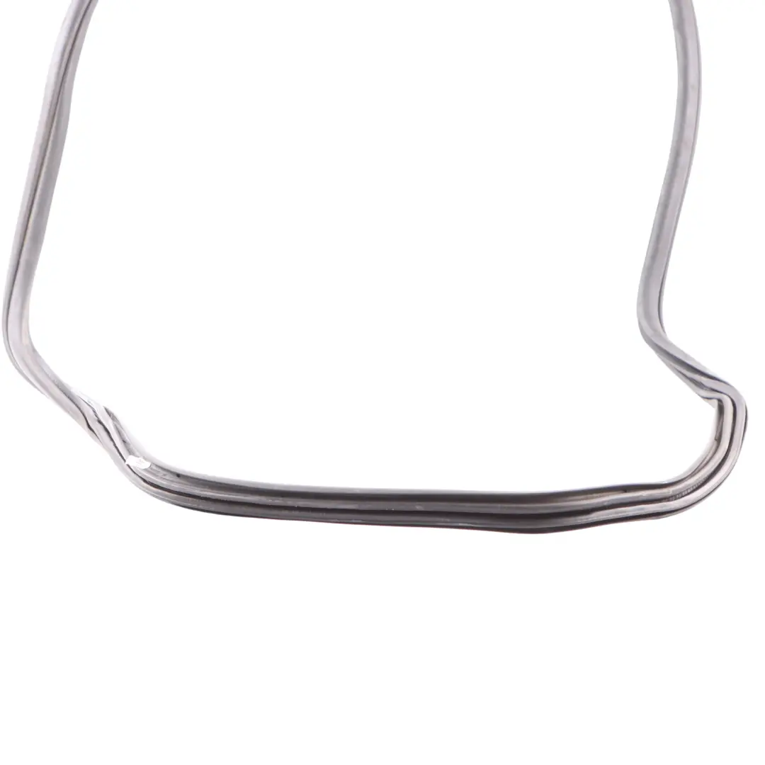 BMW F31 Guarnizione Protezione Portiera Posteriore Gomma Sinistra Destra - SKU 7303969 - Numero di parte 7303969