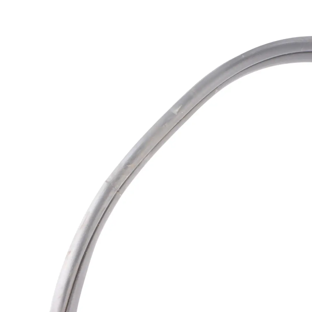 BMW F31 Tür Dichtung Hinten Schutz Gummi Links Rechts - SKU 7303969 - Teilenummer 7303969