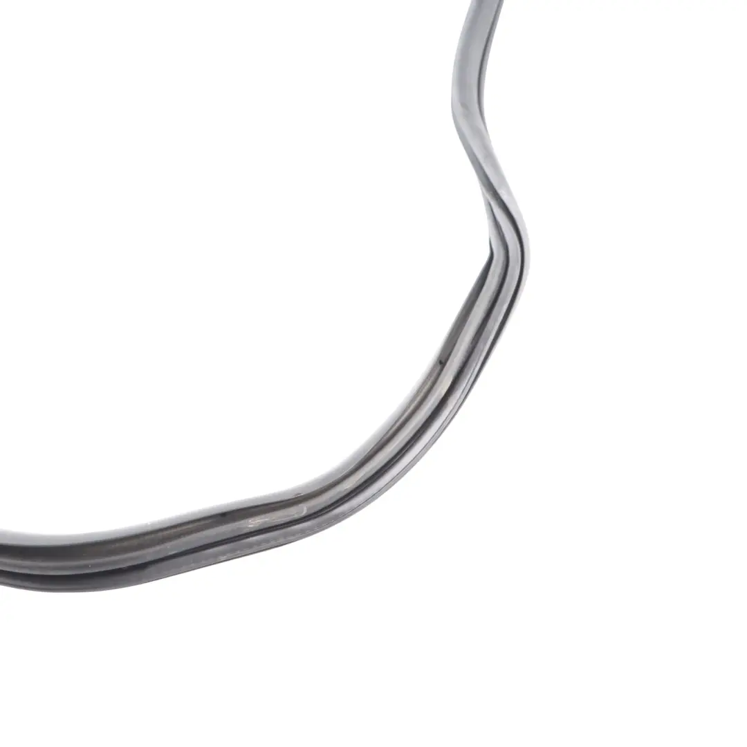 BMW F31 Guarnizione Protezione Portiera Posteriore Gomma Sinistra Destra - SKU 7303969 - Numero di parte 7303969