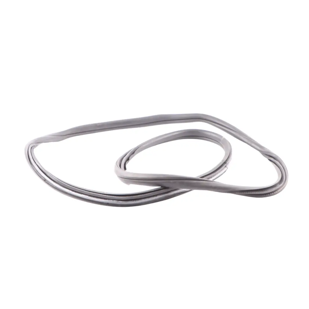 BMW F31 Guarnizione Protezione Portiera Posteriore Gomma Sinistra Destra - SKU 7303969 - Numero di parte 7303969