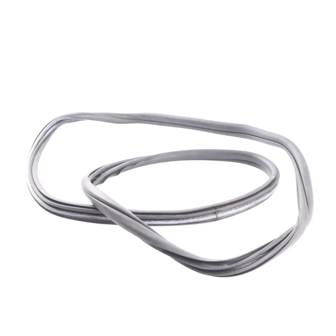 BMW F31 Guarnizione Protezione Portiera Posteriore Gomma Sinistra Destra - SKU 7303969 - Numero di parte 7303969