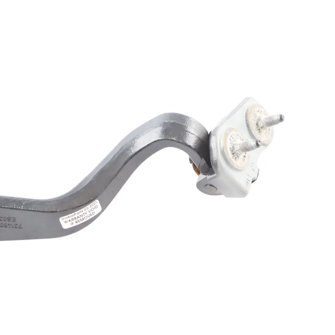 Boot Trunk Lid Hinge Left N/S Jatoba Brown B65 to BMW F36 Rear Tailgate with Part number 7314607 BMW F36 Rear Tailgate Boot Trunk Lid Hinge Left N/S Jatoba Brown B65 - SKU 7314607-JAT - Part number 7314607