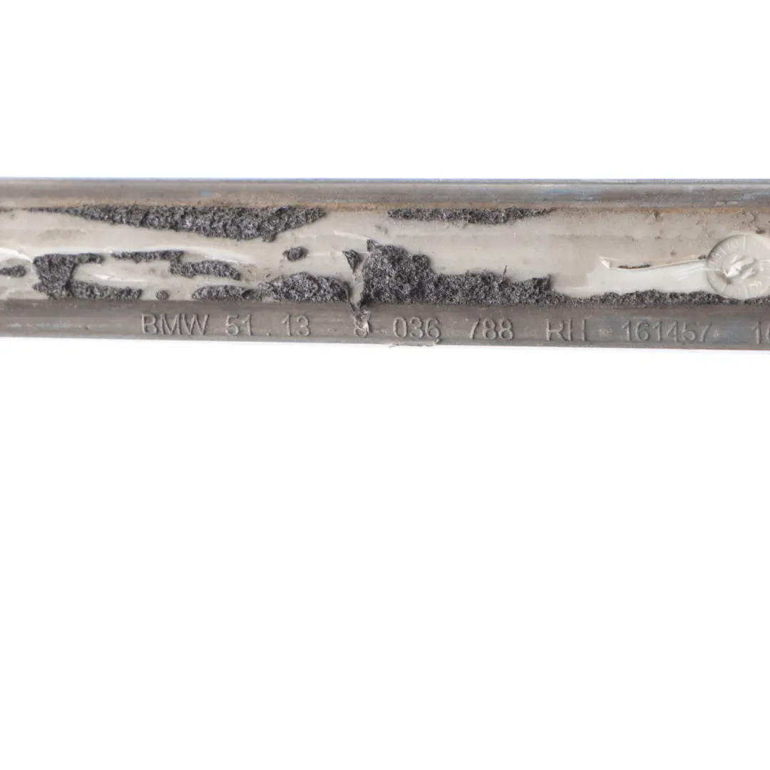 Moulding Trim Strip Front Right Door O/S Titan Silver Metallic - 354 to BMW X5 E70 with Part number 7903858 BMW X5 E70 Moulding Trim Strip Front Right Door O/S Titan Silver Metallic - 354 - SKU 7903858-TS - Part number 7903858