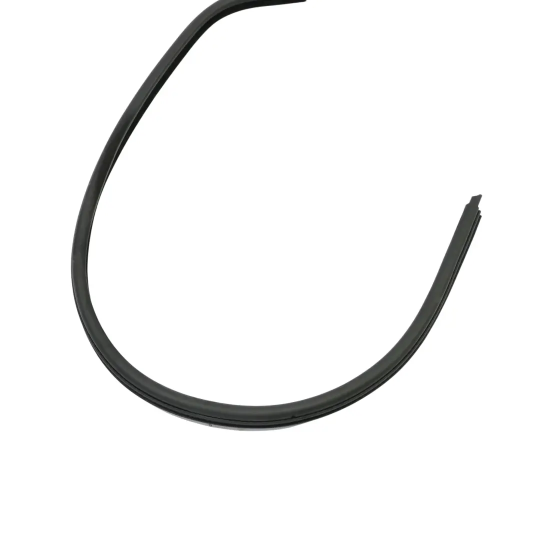 BMW E46 Guarnizione Porta Anteriore Gomma Destra - SKU 8194696 - Numero di parte 8194696